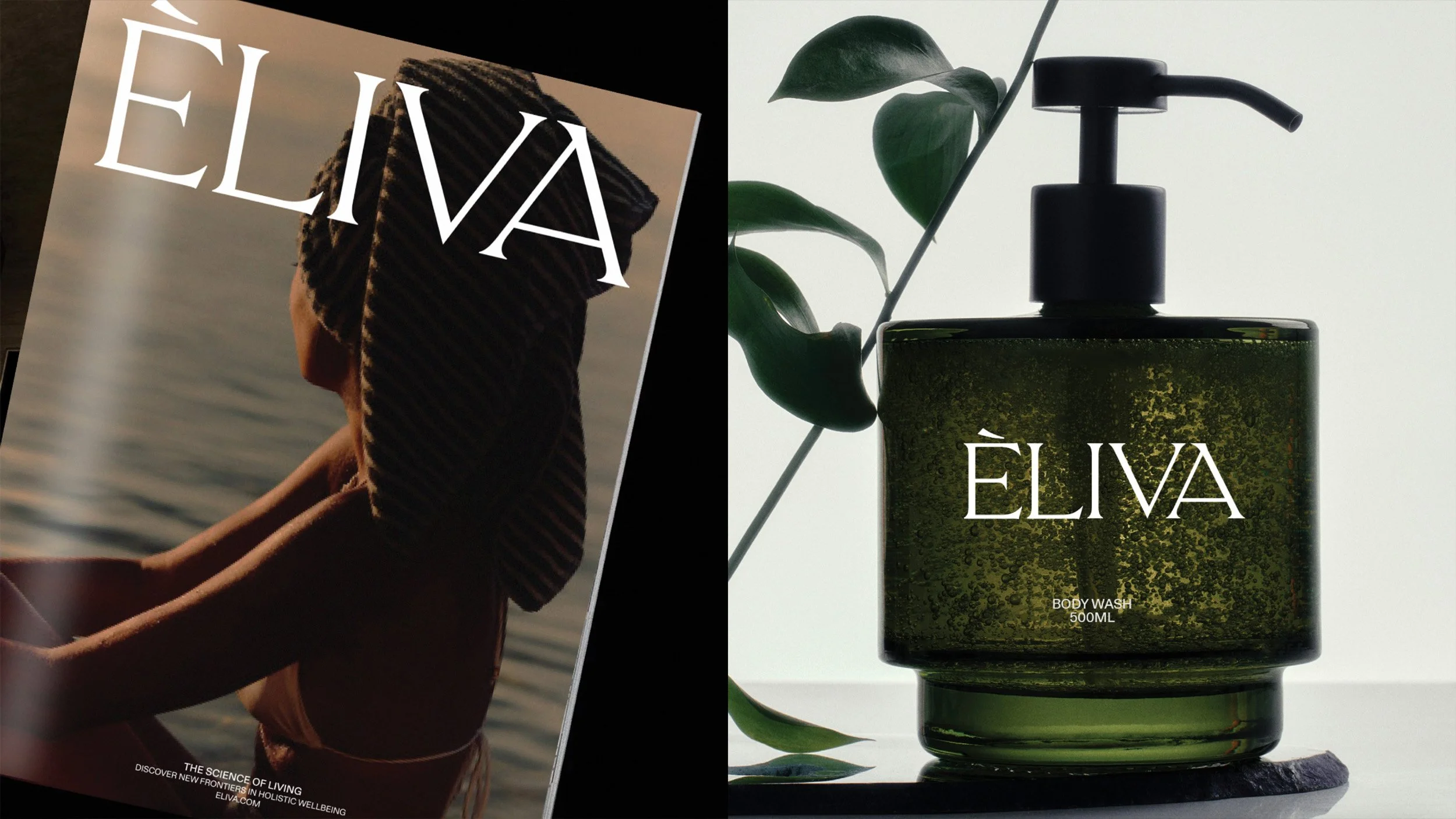 eLIVA 01.jpg