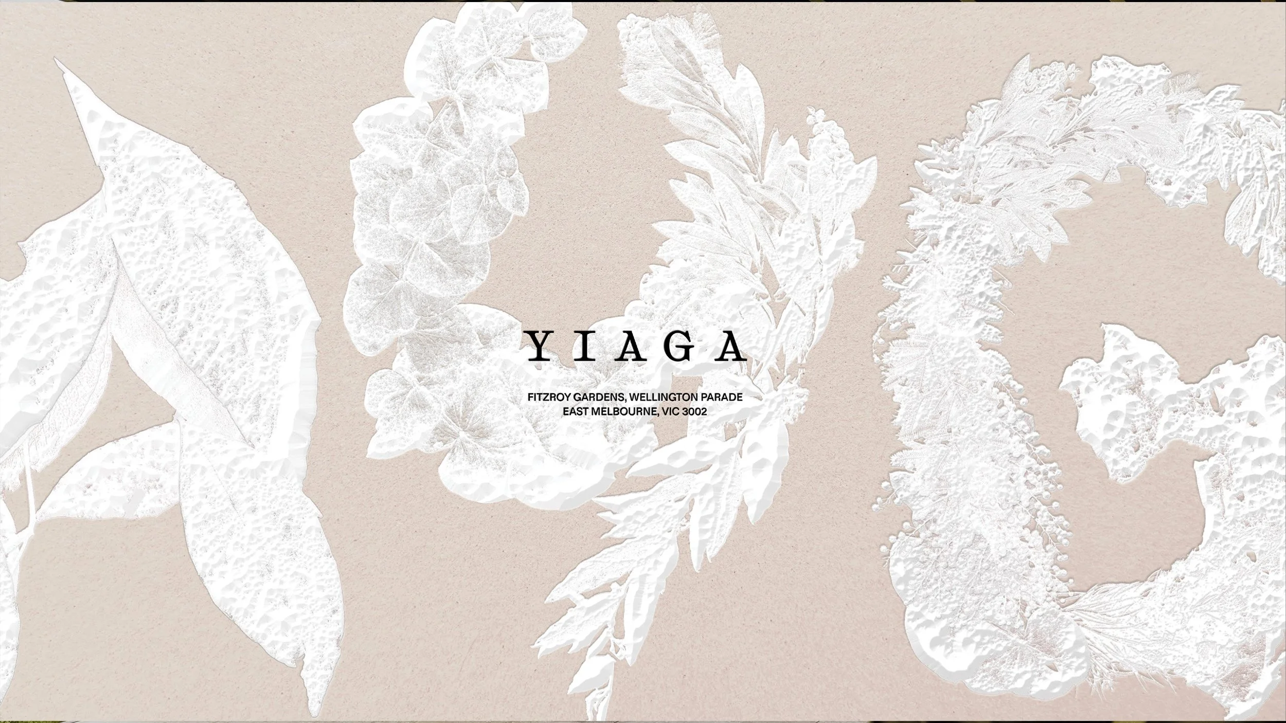 Yiaga - 02.jpg