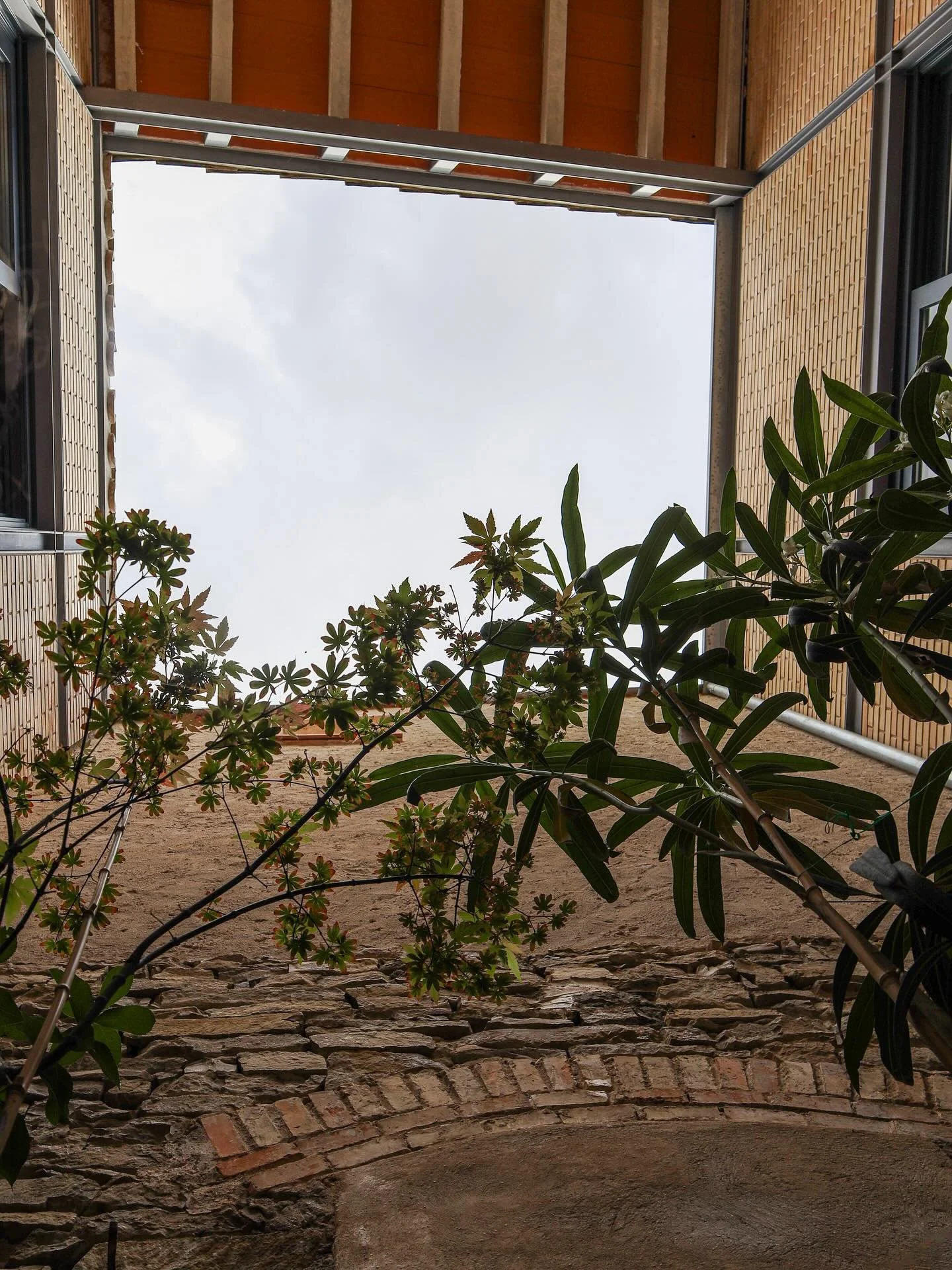 Petit oasi entre parets: el nostre pati interior i la terrassa t&rsquo;esperen.🌿
Esmorzars tranquils, tardes de lectura o nits amb estels... tot comen&ccedil;a aqu&iacute;, al cor de casa nostra.✨