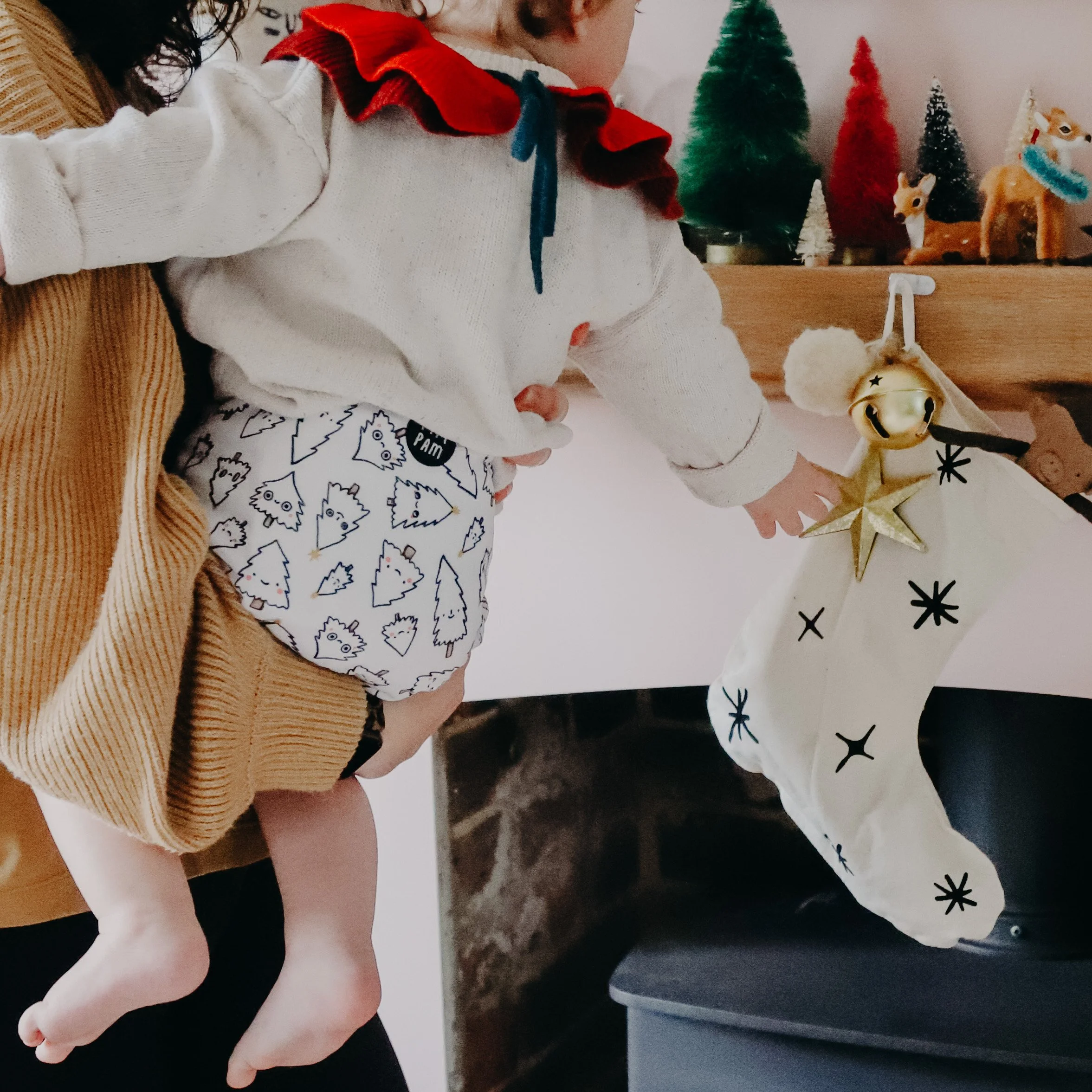Pim Pam Christmas Nappies
