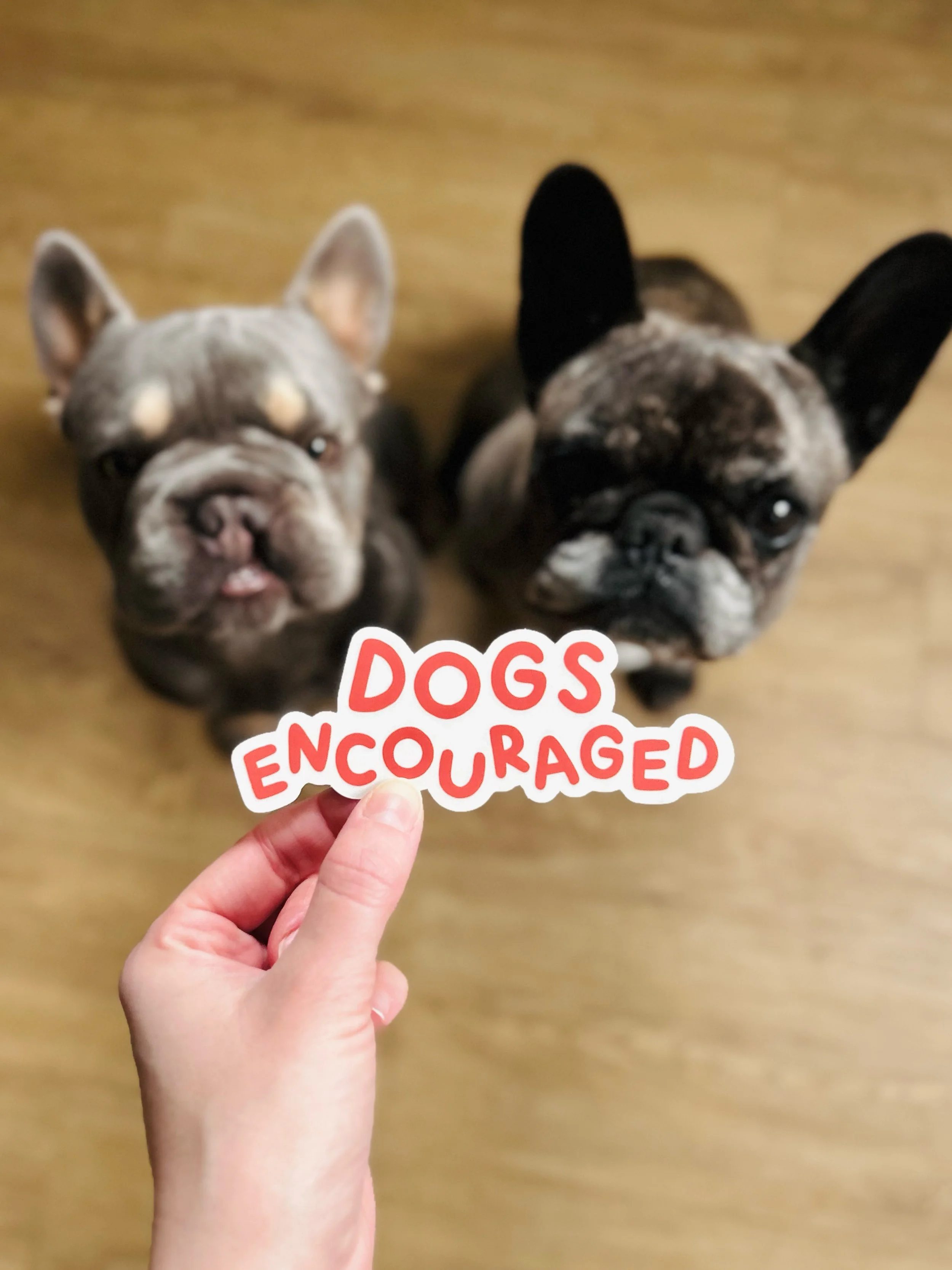 Dogs Encouraged