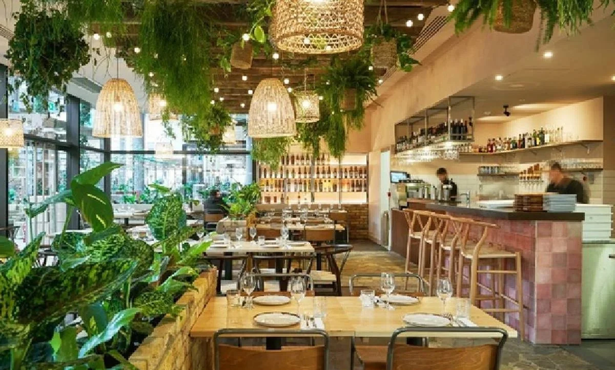 Interior of a cozy restaurant with wooden furniture, hanging woven light fixtures, and green plants hanging from the ceiling, with a view of the bar area and large windows letting in natural light.