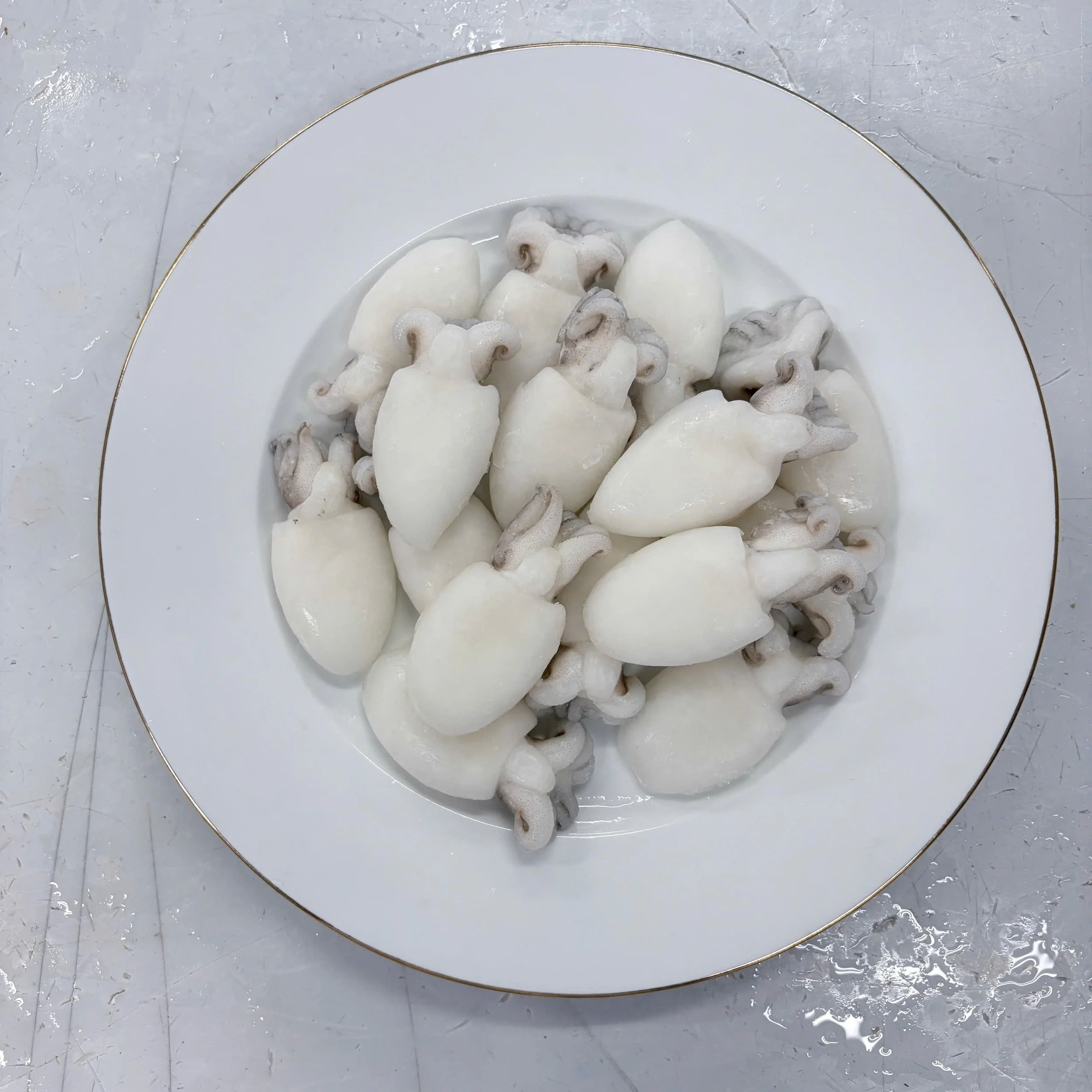 Baby Cuttlefish IQF