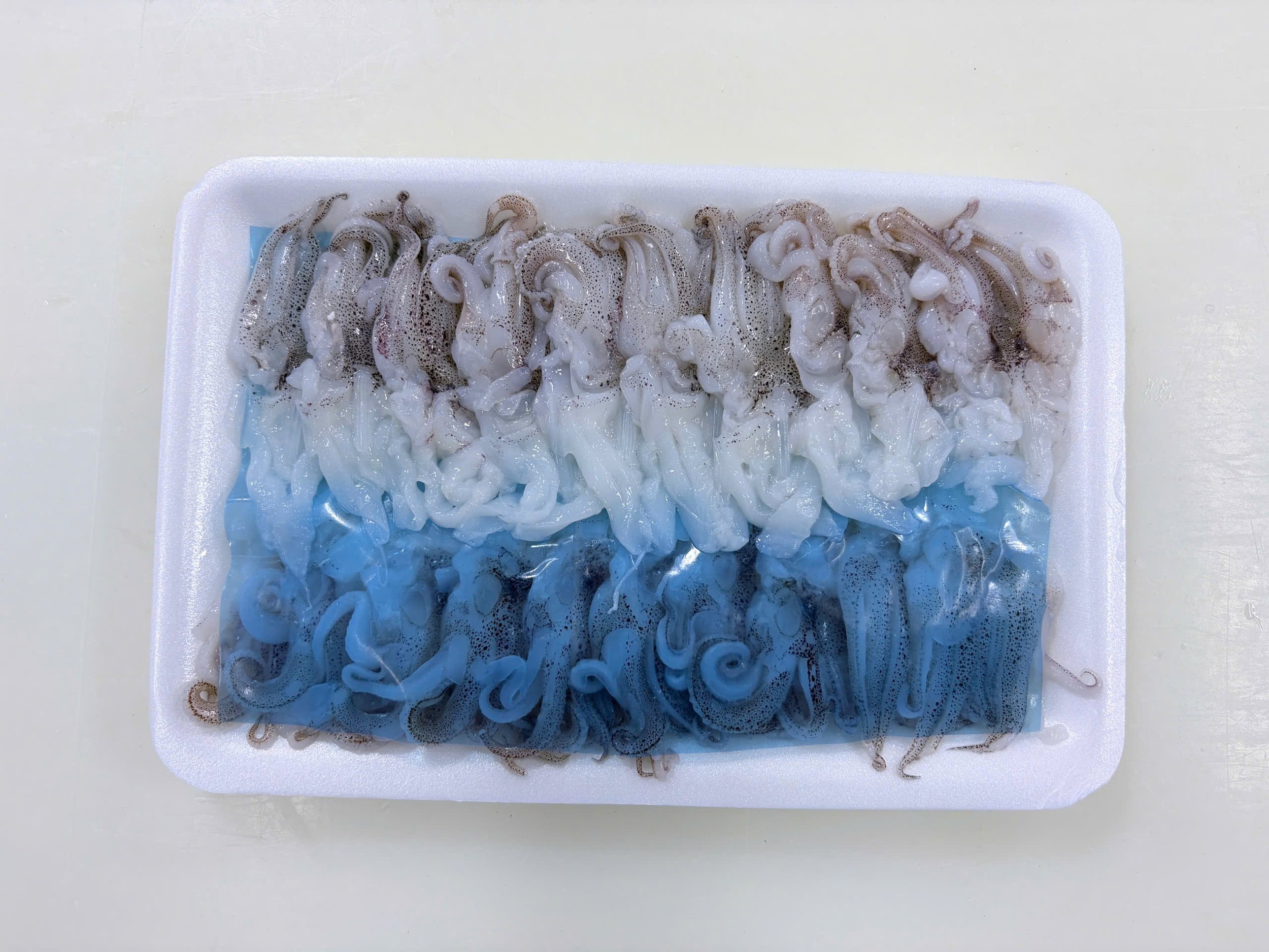 Squid Sushi (Leg)