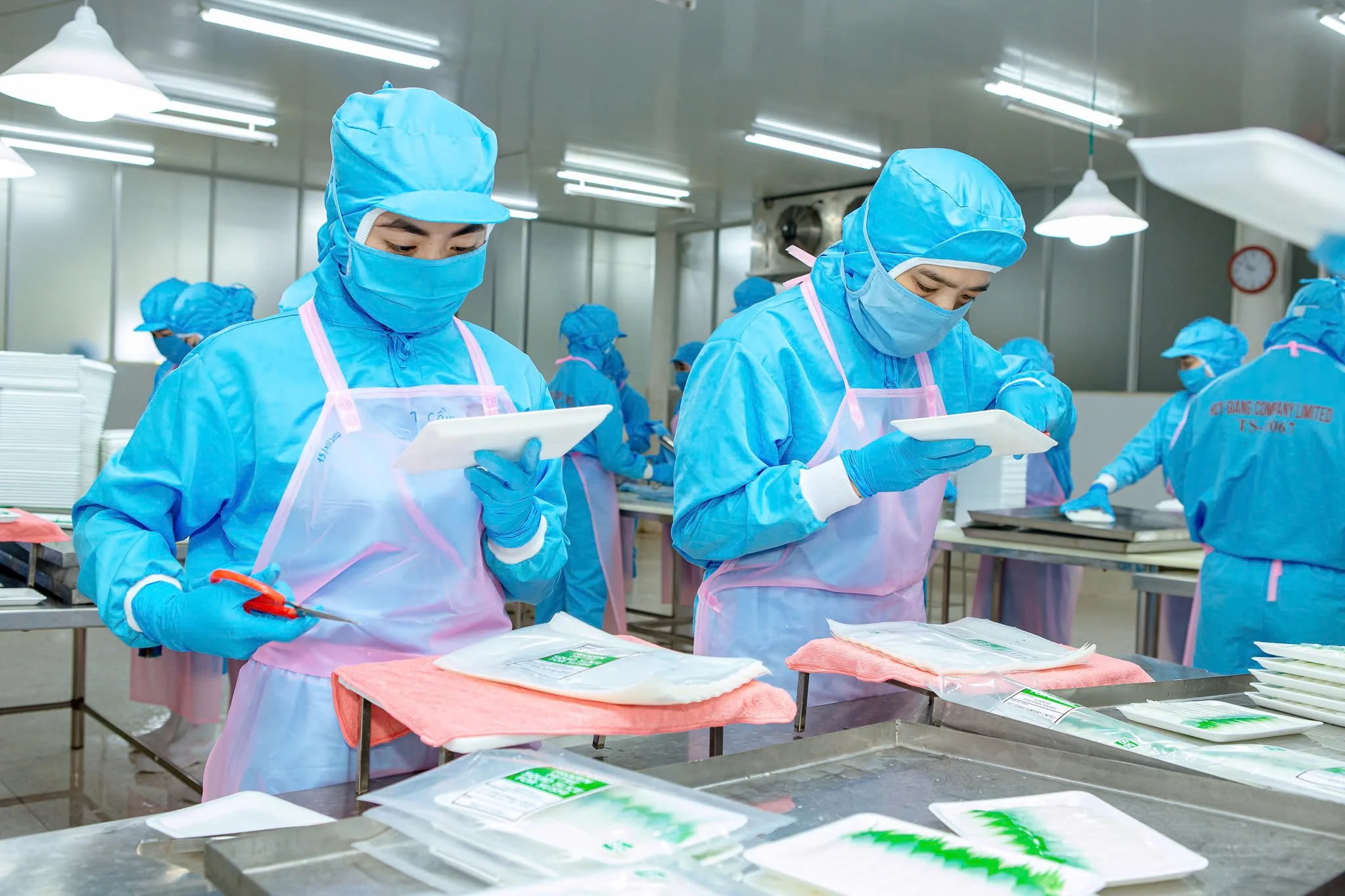 Workers in blue protective suits, masks, and gloves inspecting packaged food products in a factory setting.