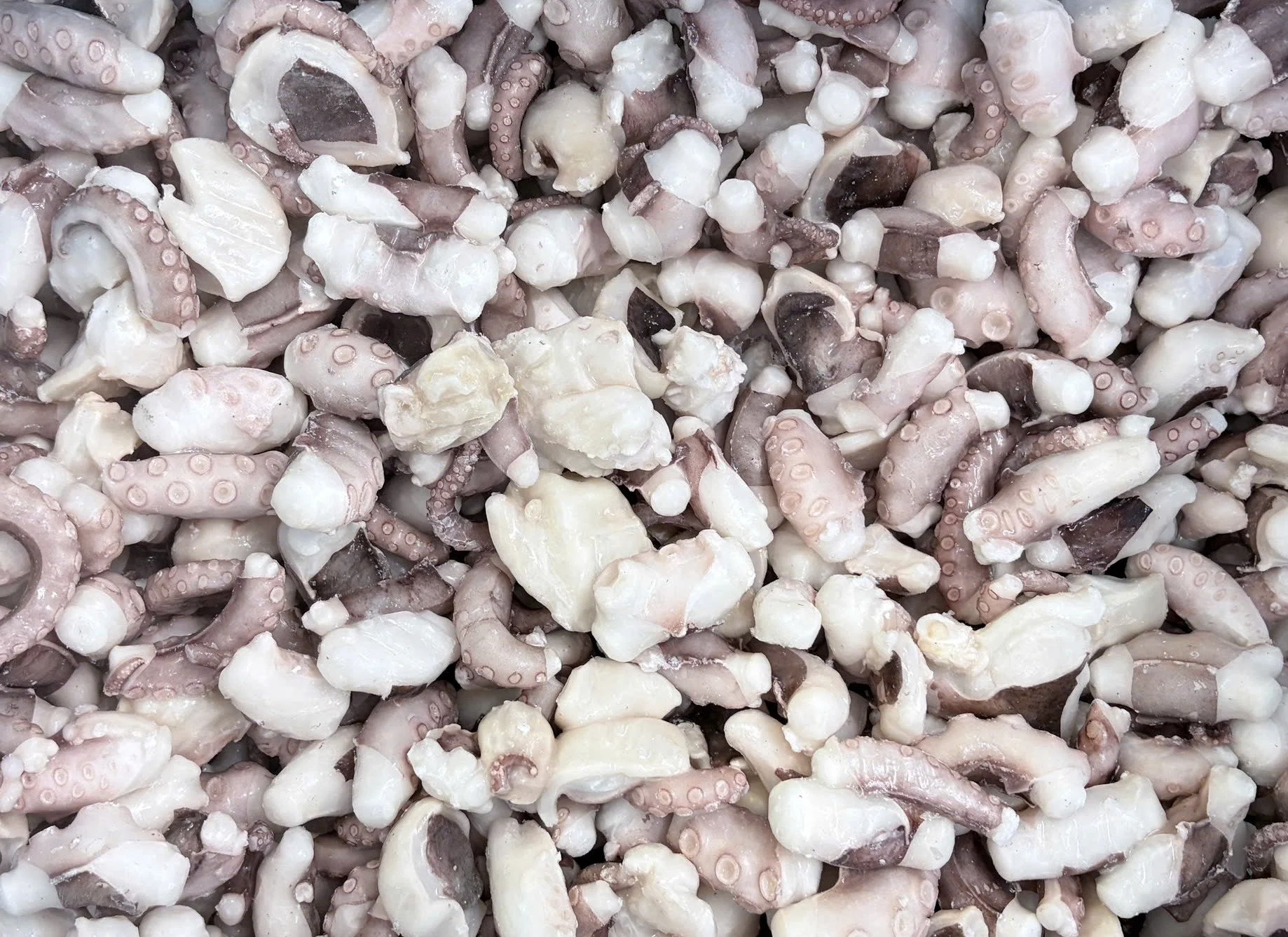 Poulp Squid Cut Blanchd IQF