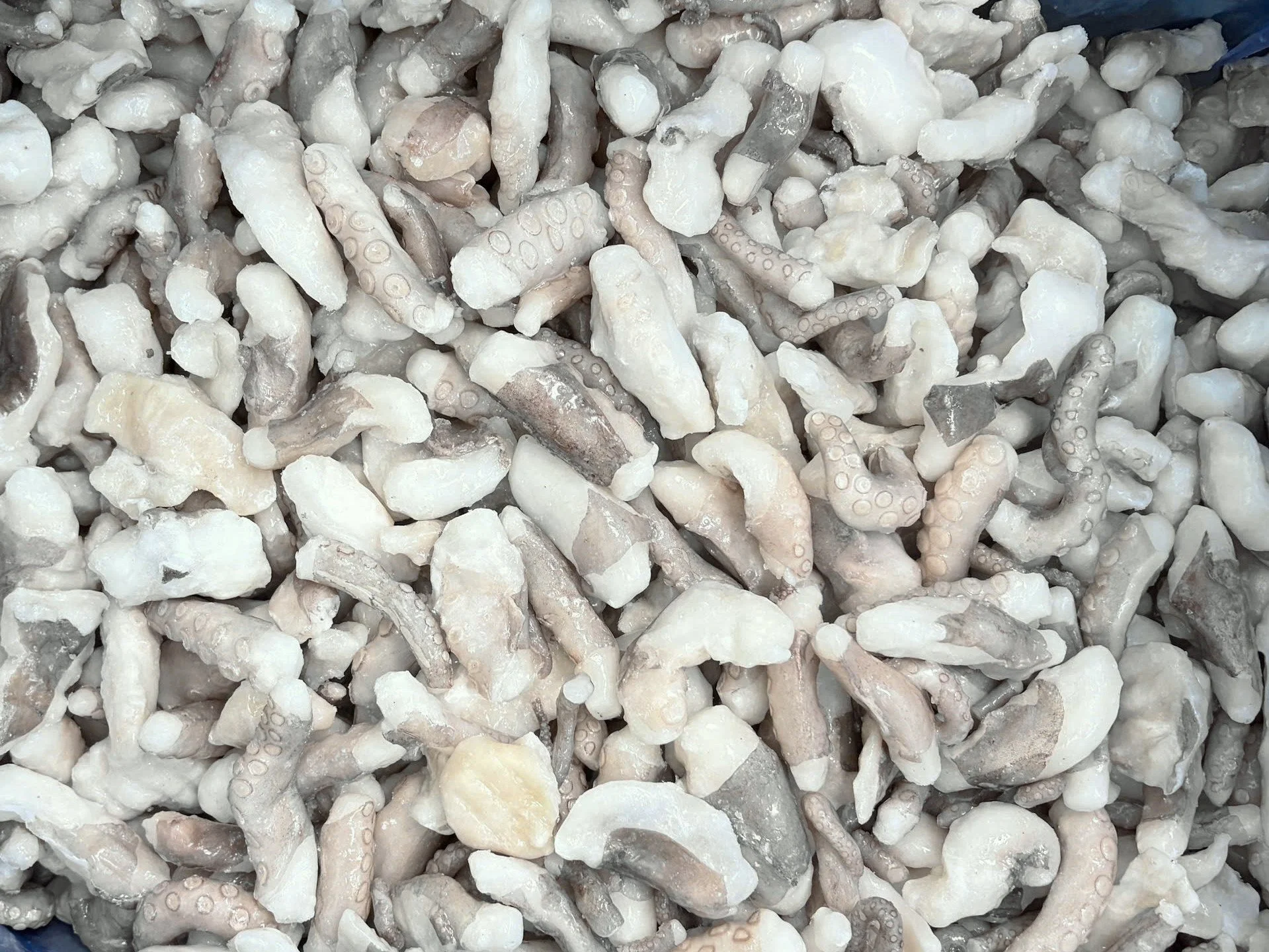 MAZA TUOI 5CM.jpg