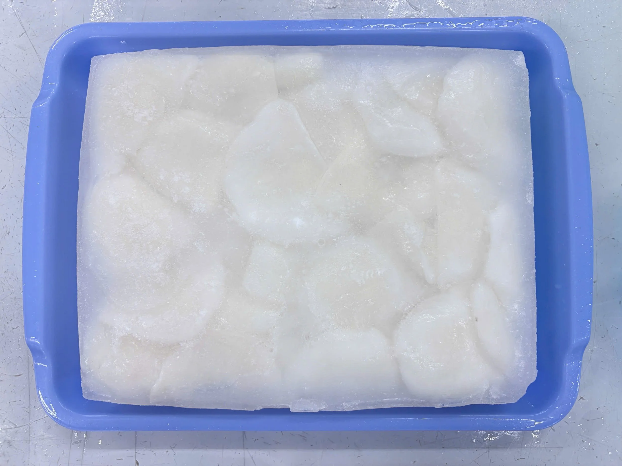 NANG FILLET.jpg