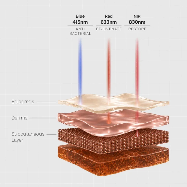 led light wavelengths and how each one penetrates different levels of the skin