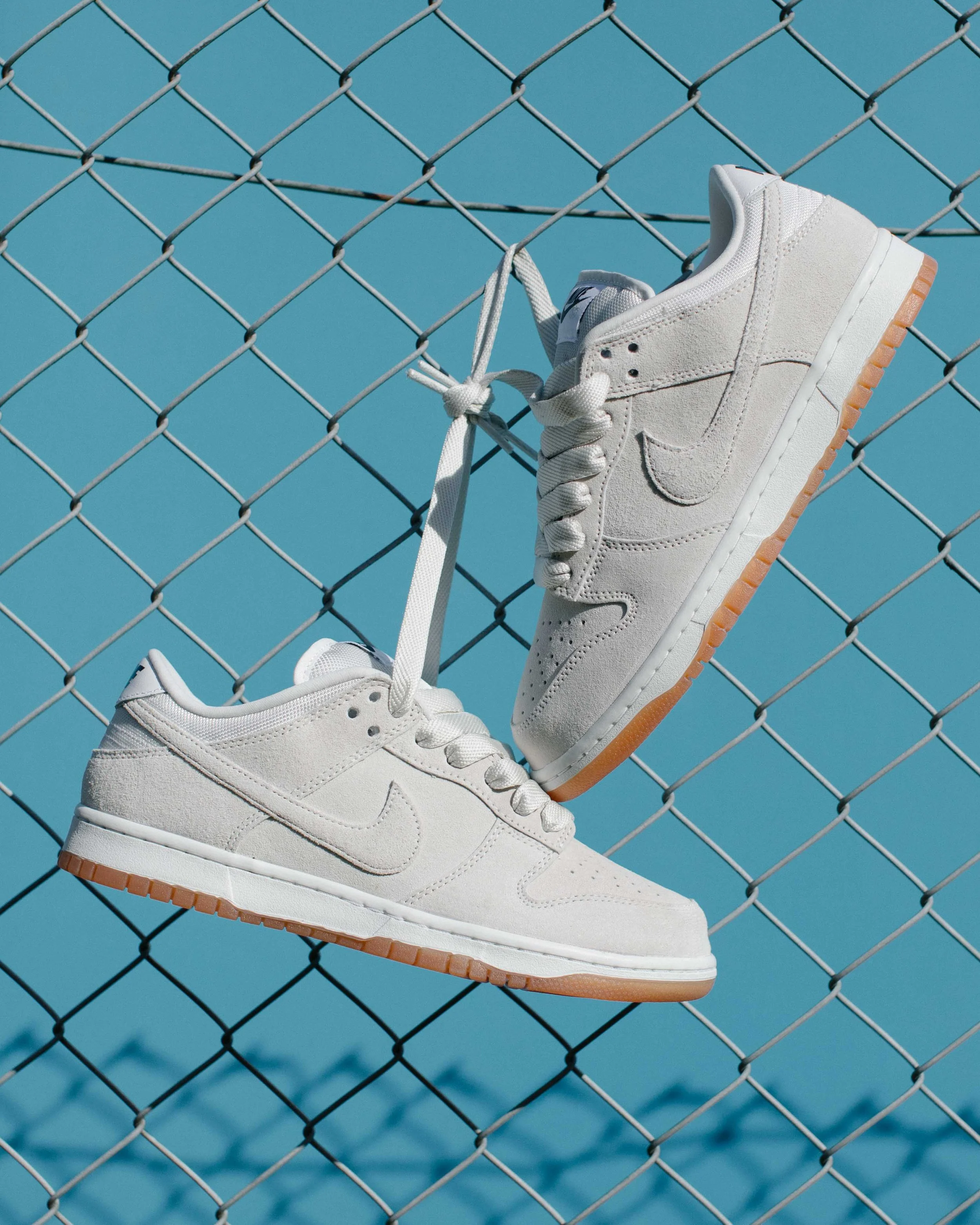 Dunk 2-1.jpg
