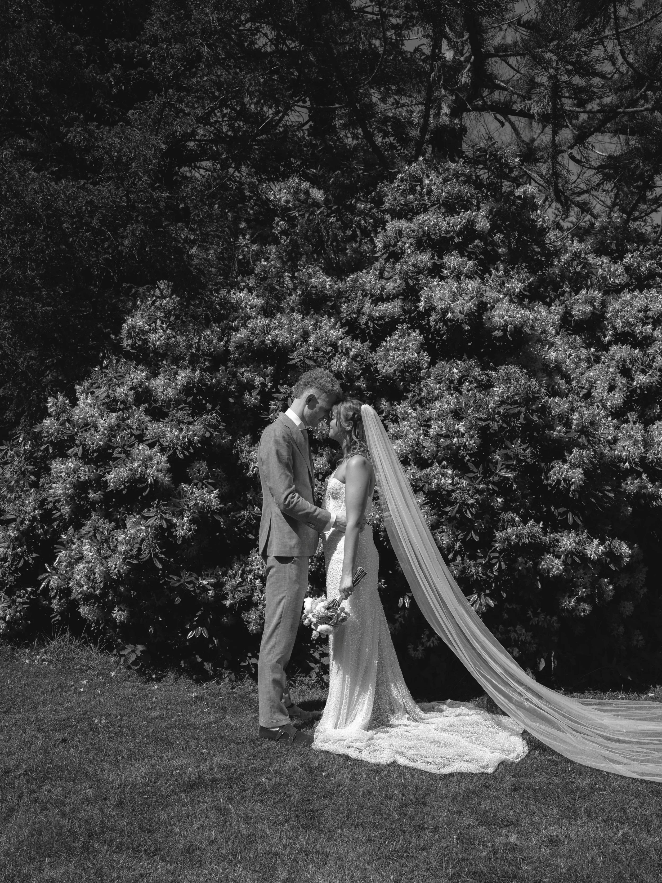 The lovestory of K &amp; A 🤍☁️

@kopdal @ariewestgeest, thanks for trusting me at your beautiful weddingday ✨
