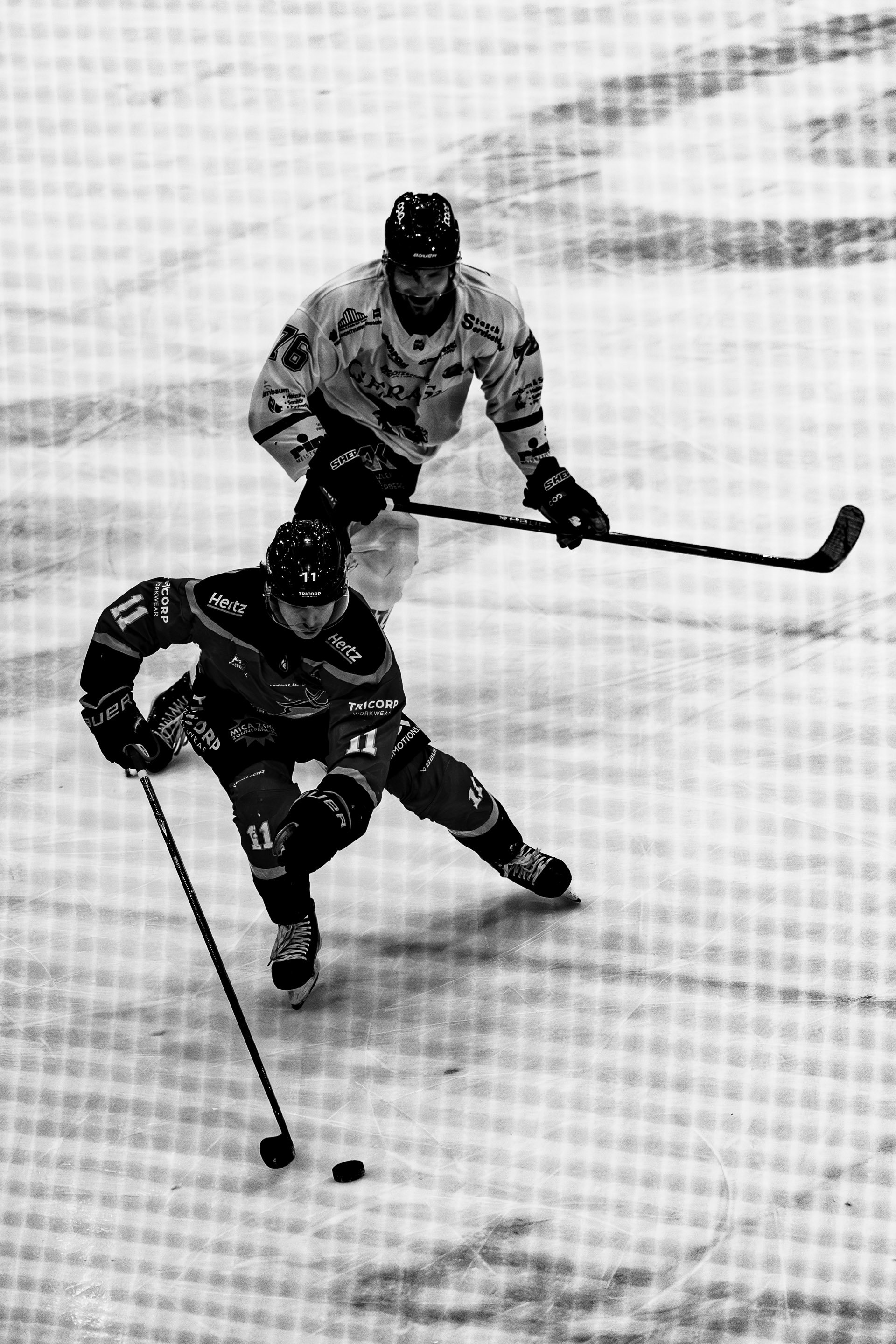 KateDuijts_20251228_1605_Trappers_304025.jpg