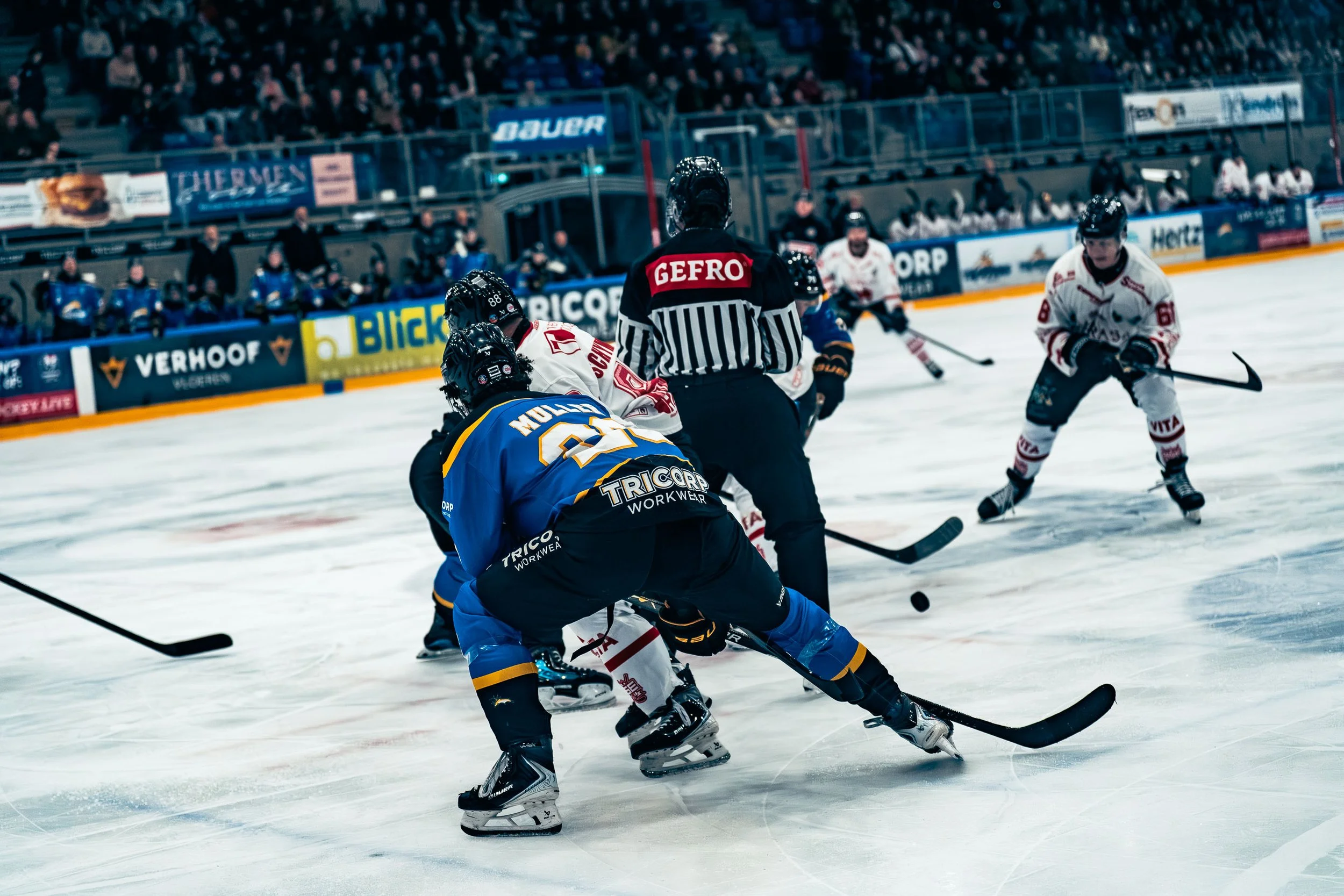 KateDuijts_20251228_1511_Trappers_09373.jpg