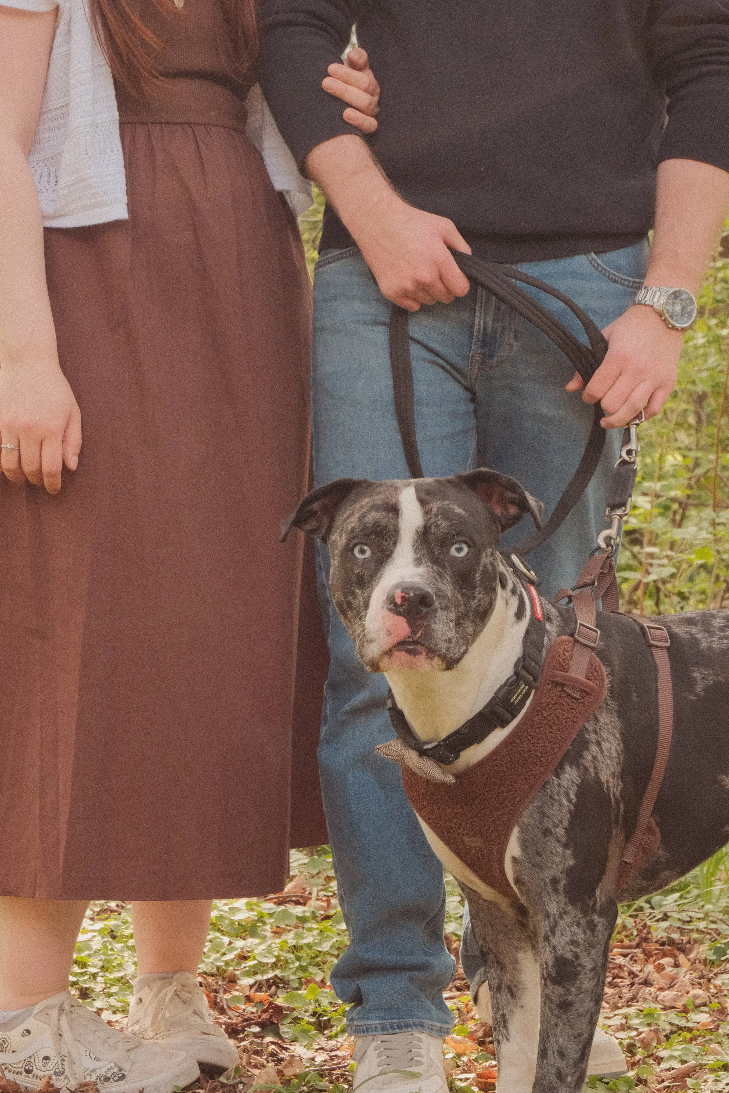 Two people holding a dog on a leash outdoors. One person is wearing a brown skirt, white shoes, and has a hand on the dog's head. The other person is wearing jeans, a black shirt, a silver watch, and is holding the leash. The dog is a medium-sized br
