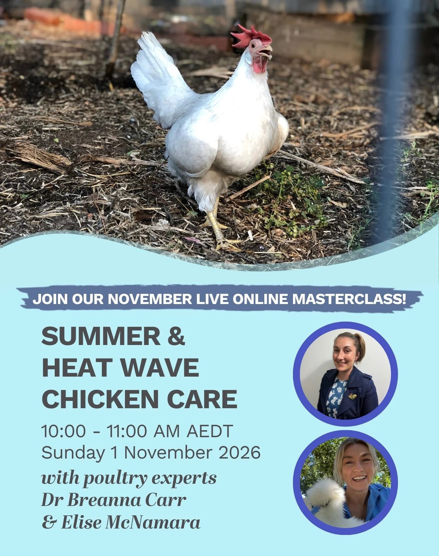 Summer and Heatwave Chicken Care masterclass with Breanna Carr and Elise McNamara