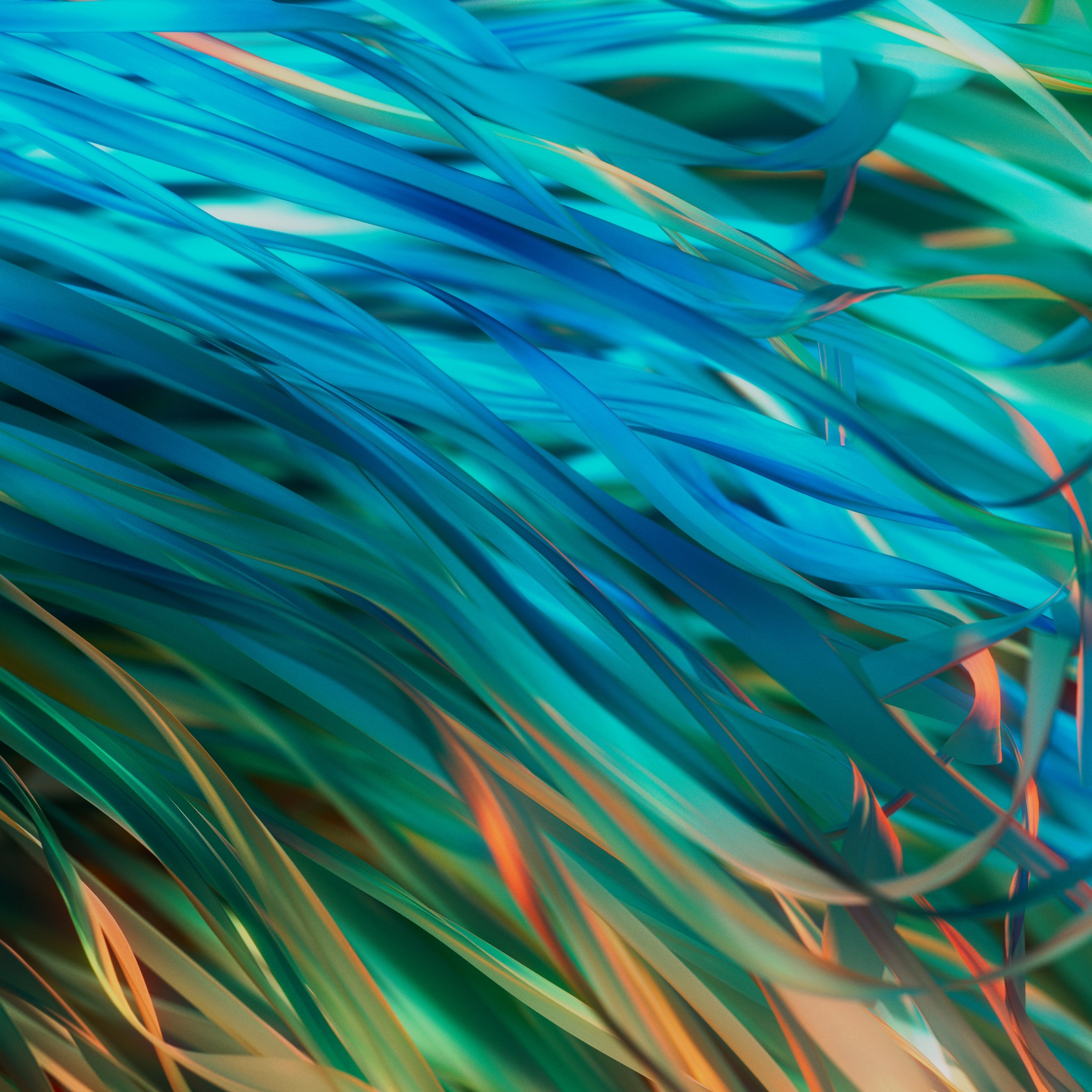 soak_2025_04_4k Master Image.jpg