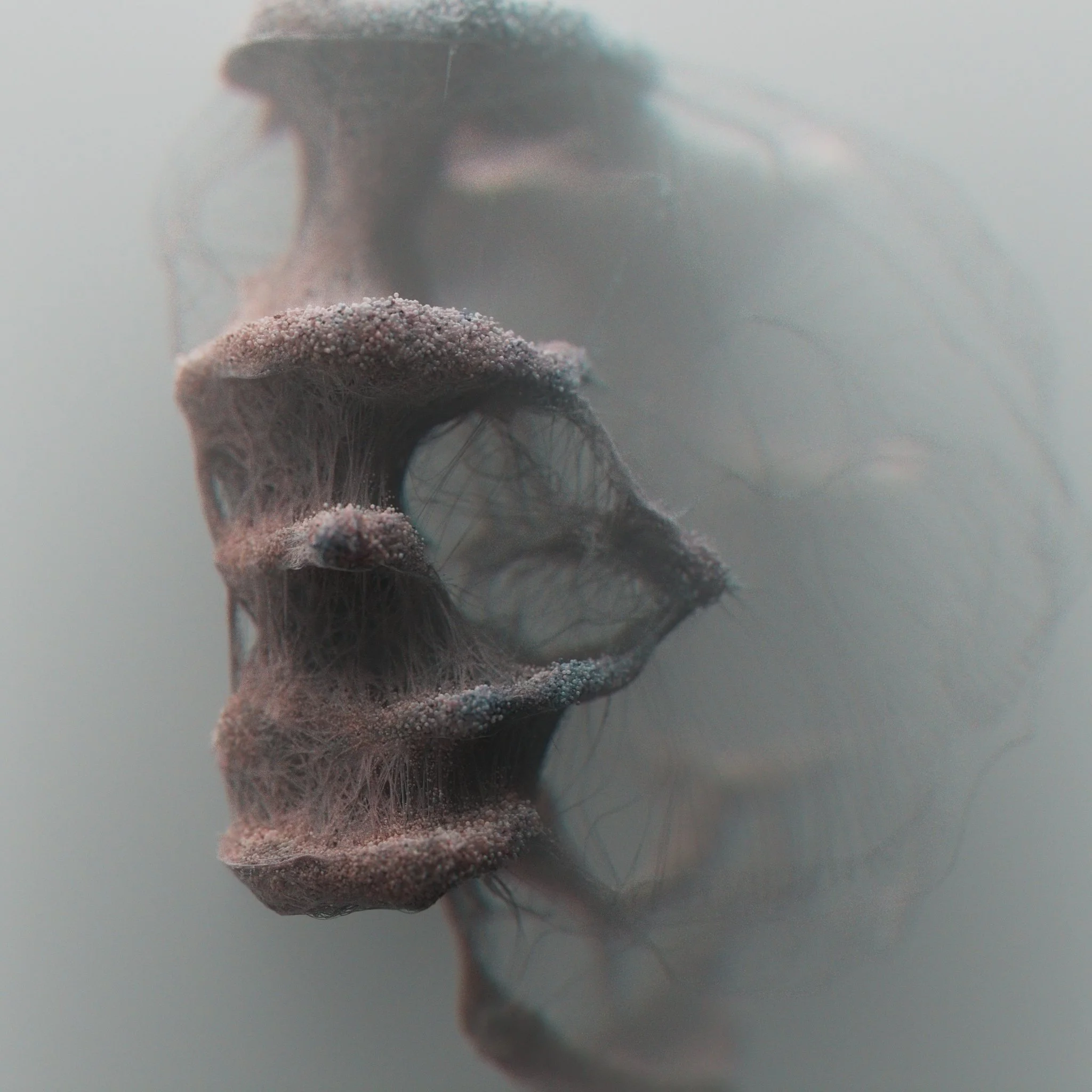 rhino5x2_058.jpg
