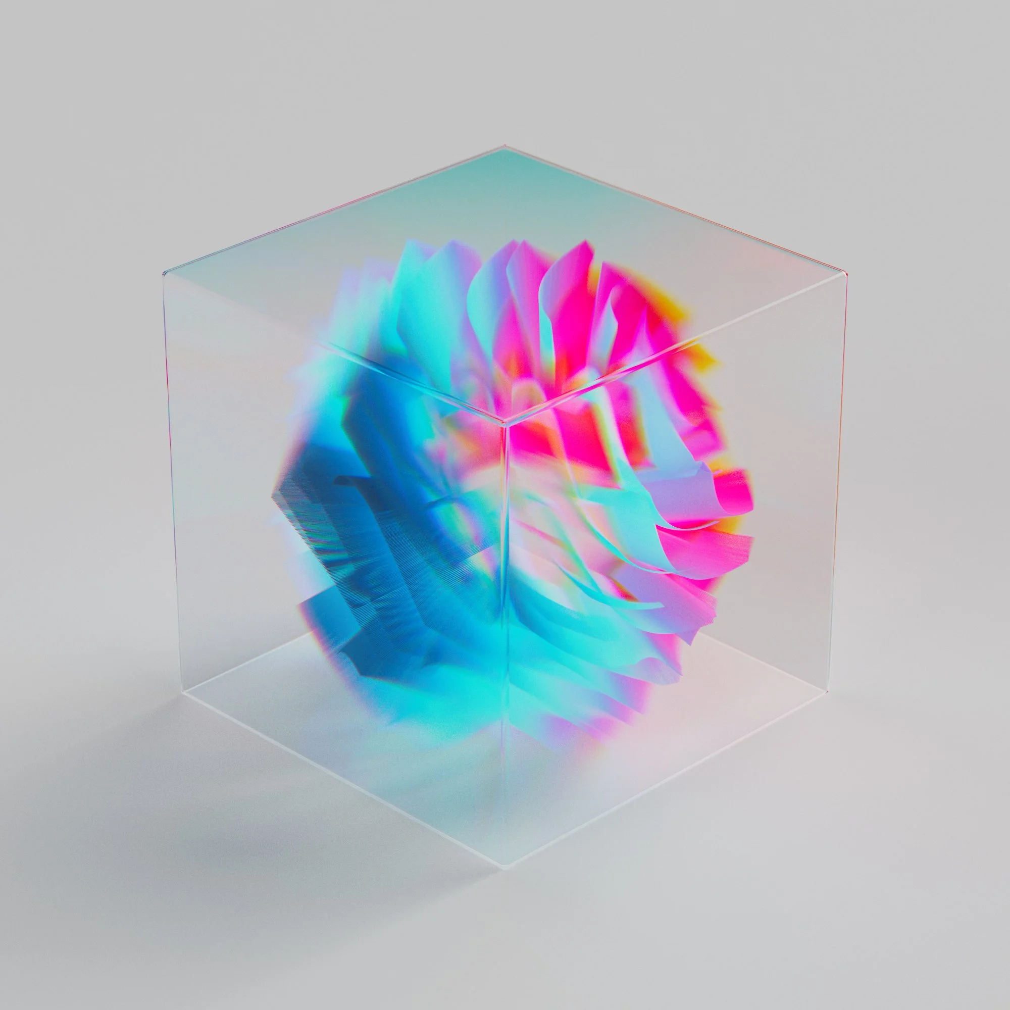 Rhinotillexomania_0x01 copy.jpg