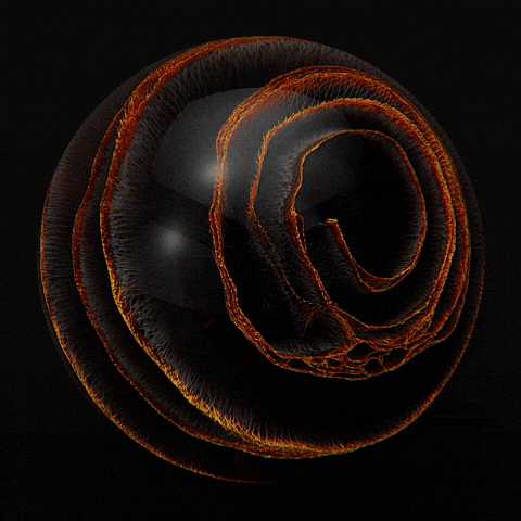 Procedural 2_bw.gif