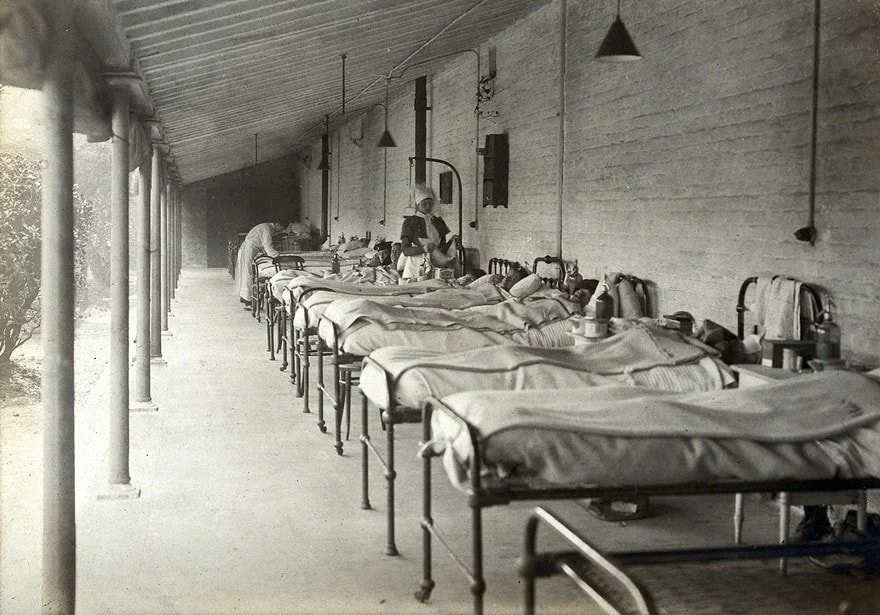 Brain Tumours, Measles and Consumption: Illness in The Papermaker's Daughter