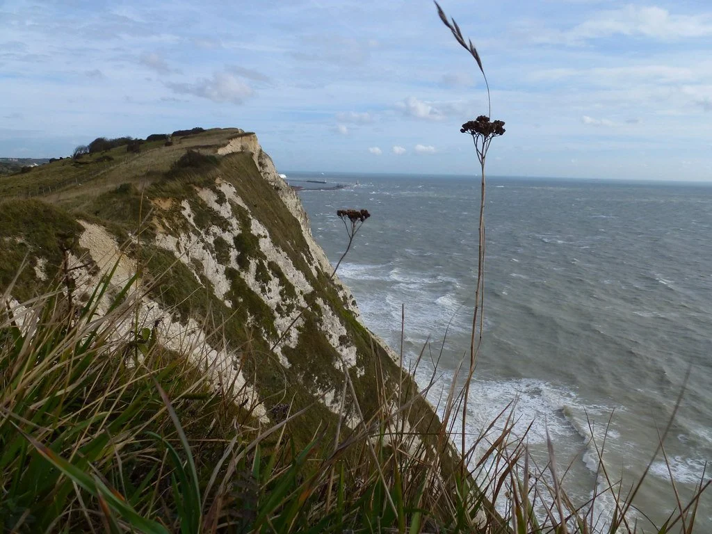 Landscape image of Shakespeare Cliff surrounded by the sea and grass in the foreground.