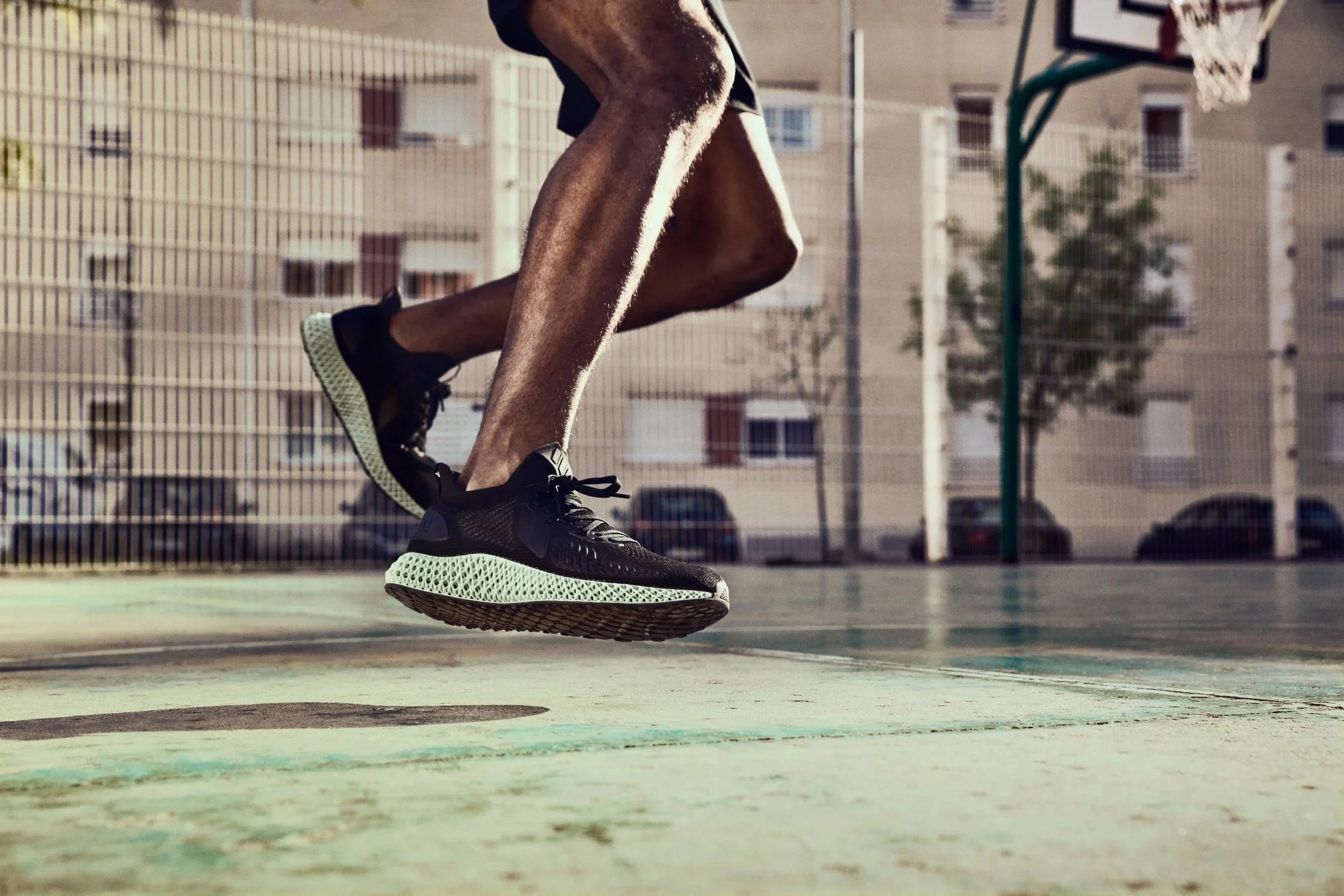 alphaedge-13-08.jpg