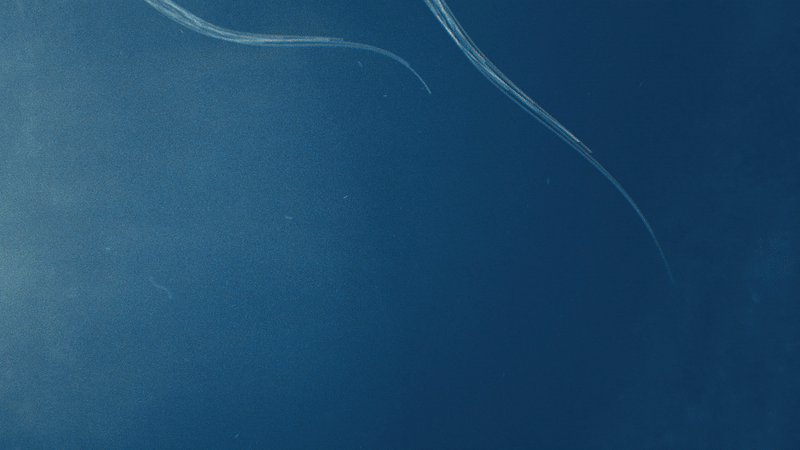 primeblue-p1-07.gif