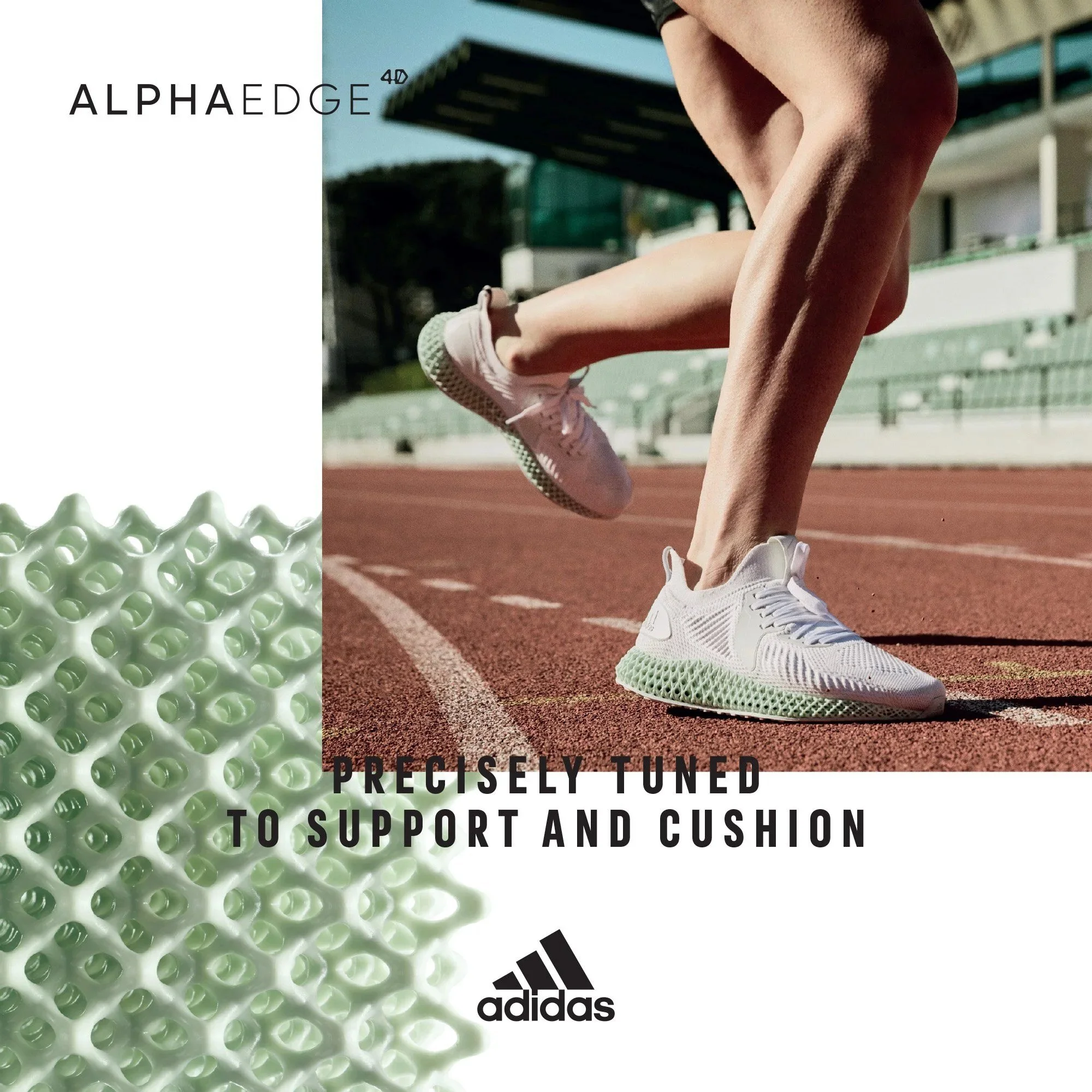 alphaedge-16-05.jpg