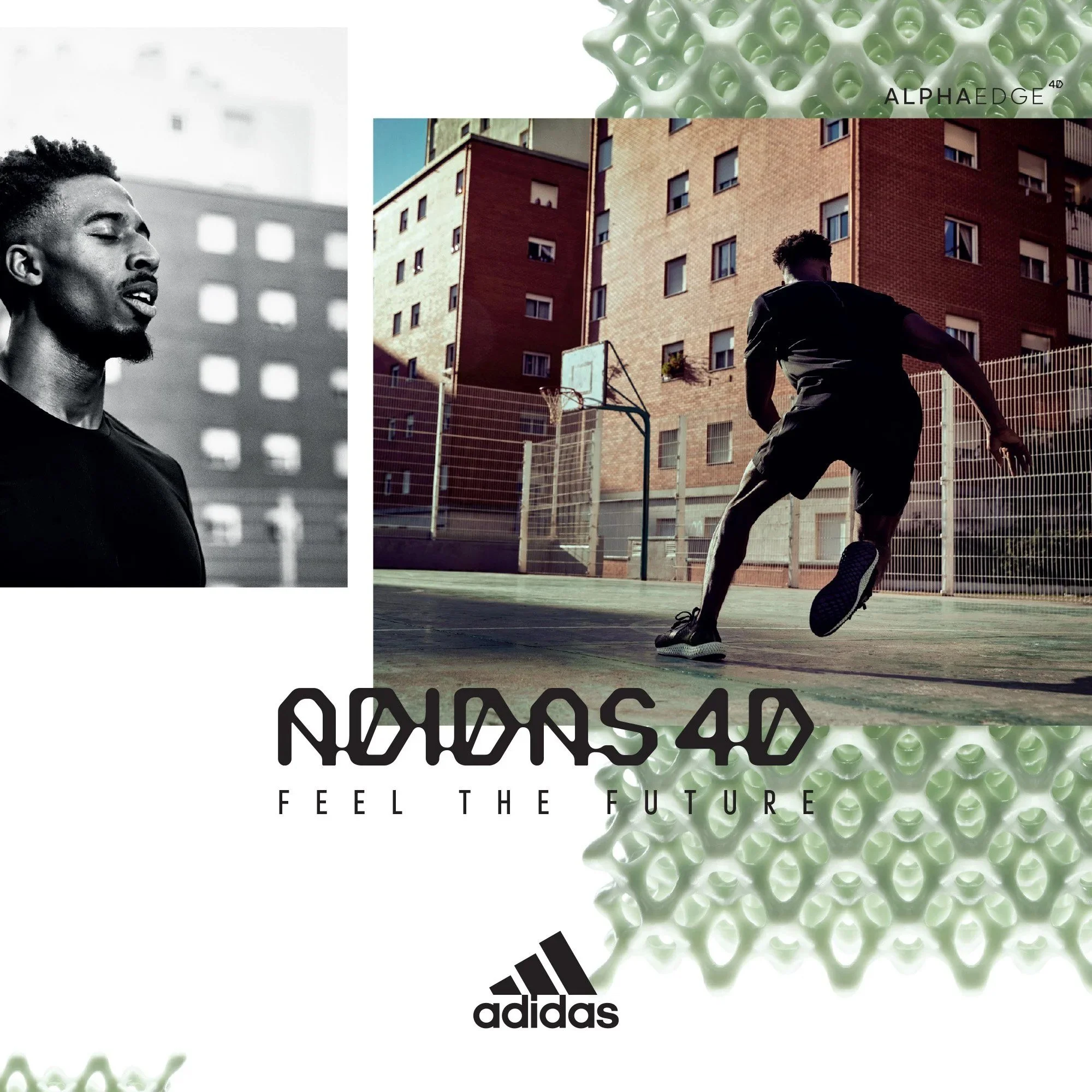 alphaedge-16-02.jpg