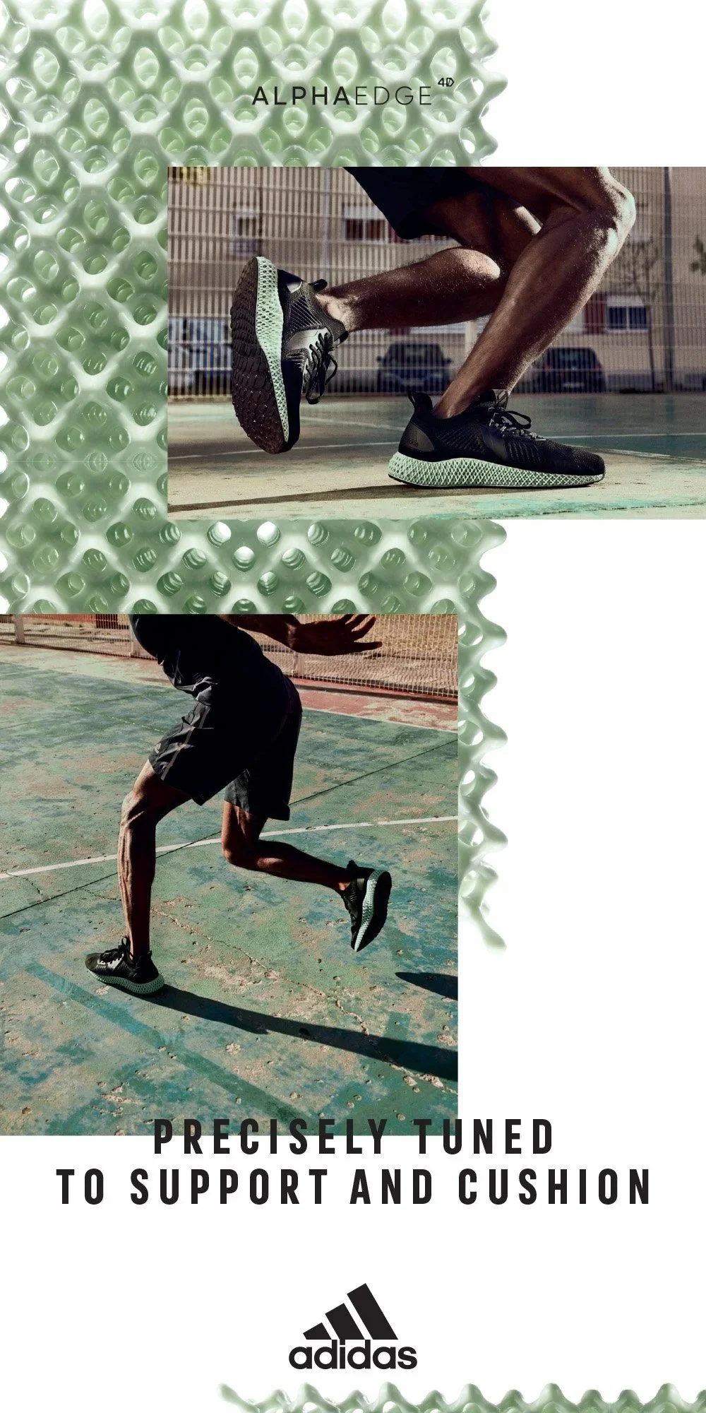 alphaedge-16-01.jpg