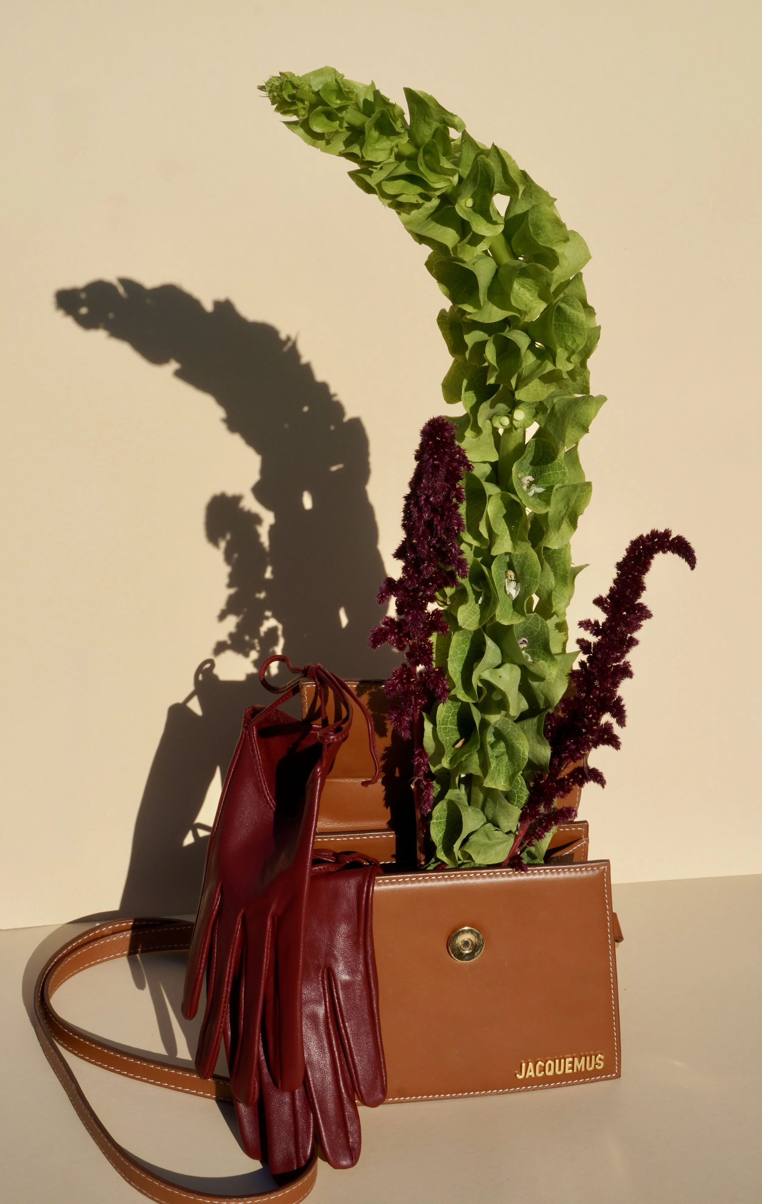 Planten en tassen op een tafel met schaduw op een lichte muur.