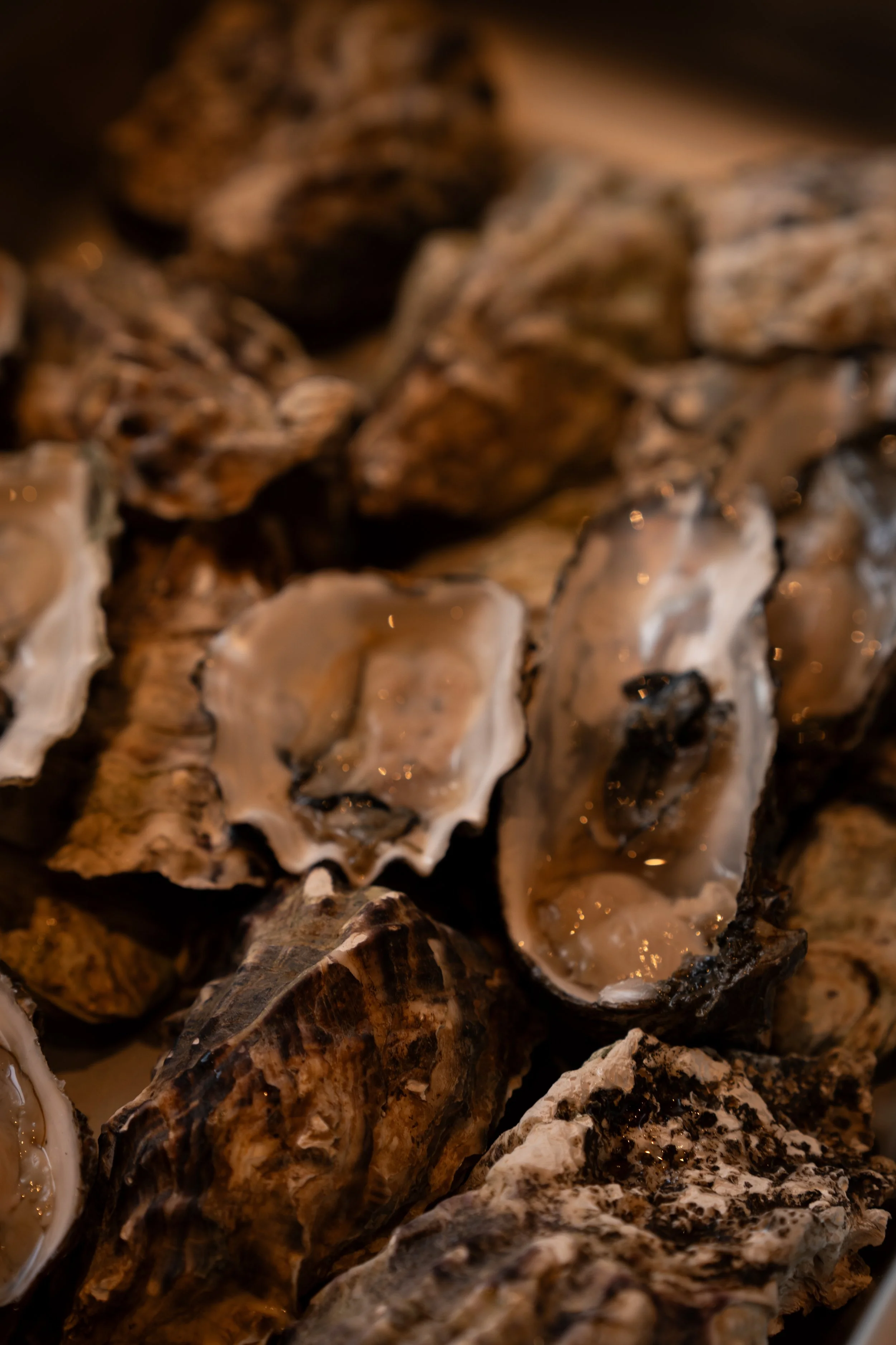 Close-up van oesters, geopend met schaaldieren en schelpen zichtbaar.