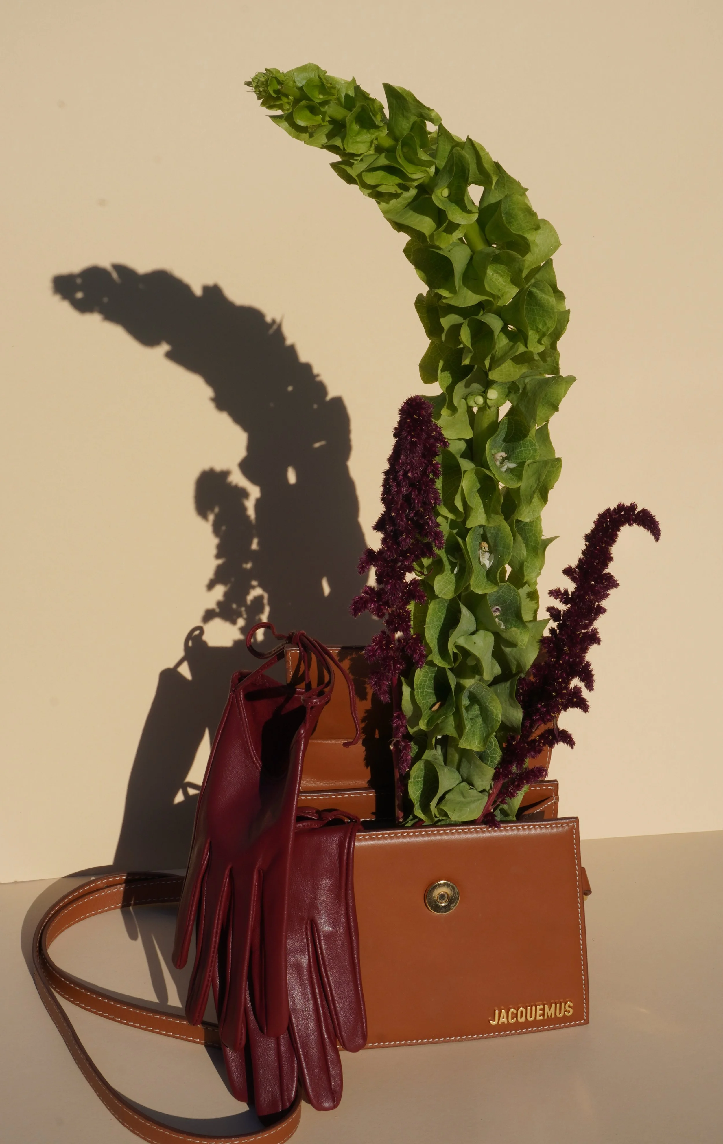 Een bruine Jacquemus handtas met de naam in gouden letters, een rode handtas, een paar rode handschoenen, een paar bruine laarzen en twee planten met paarse bloemen en groene bladeren, allemaal op een tafel tegen een witte muur.