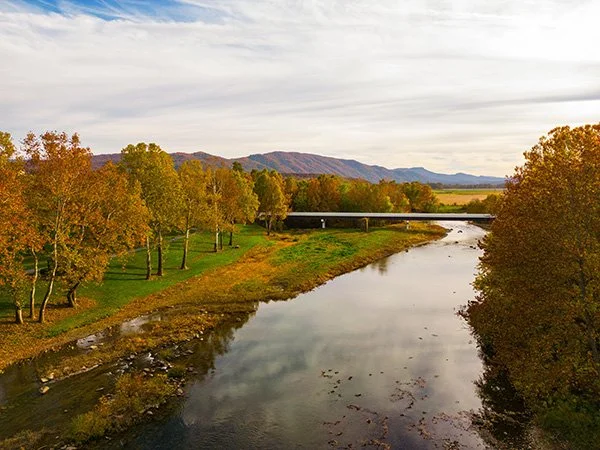 fall trees along the South Branch River and Brighton Bridge crossing the river