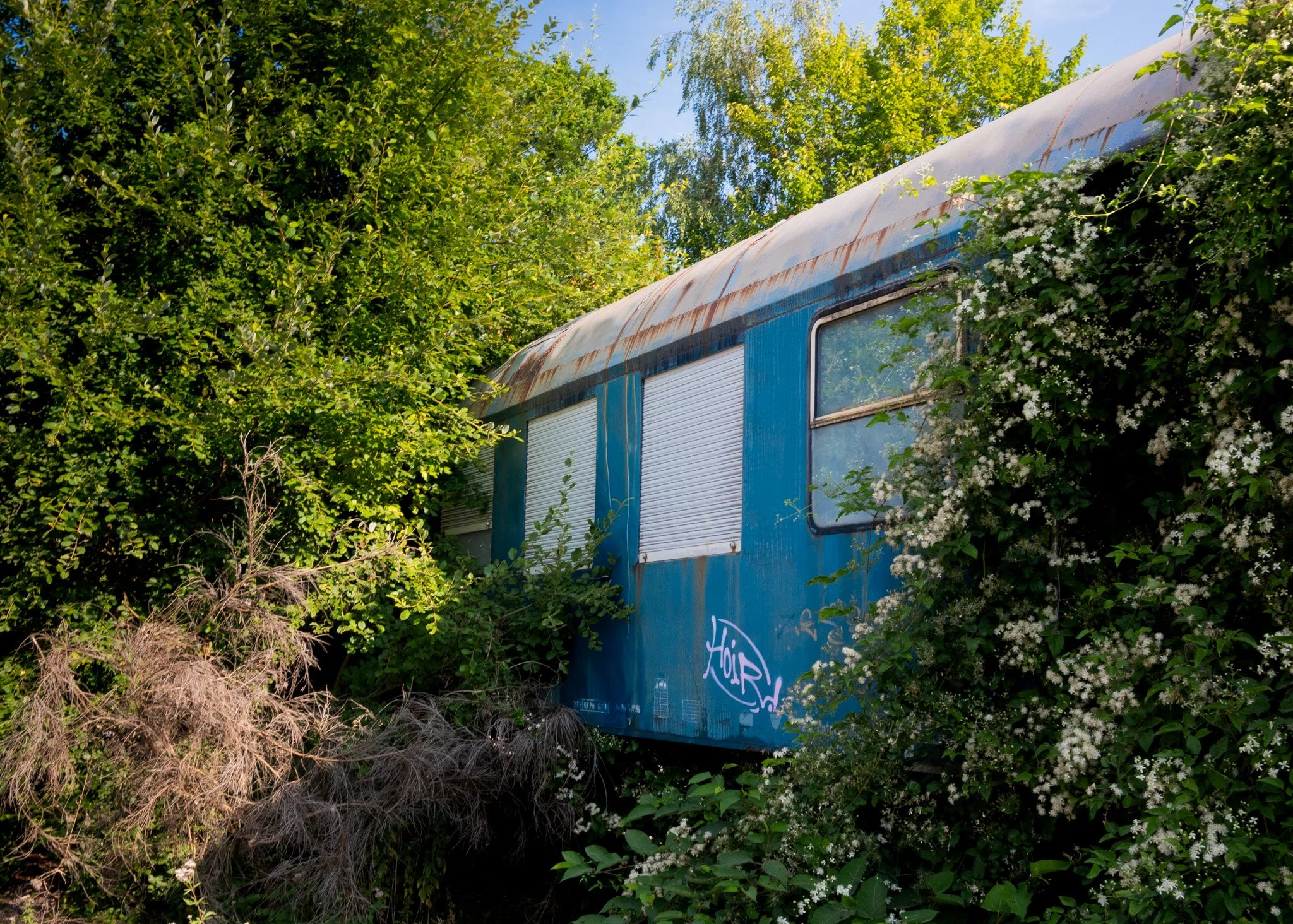 DSC_4903.jpg