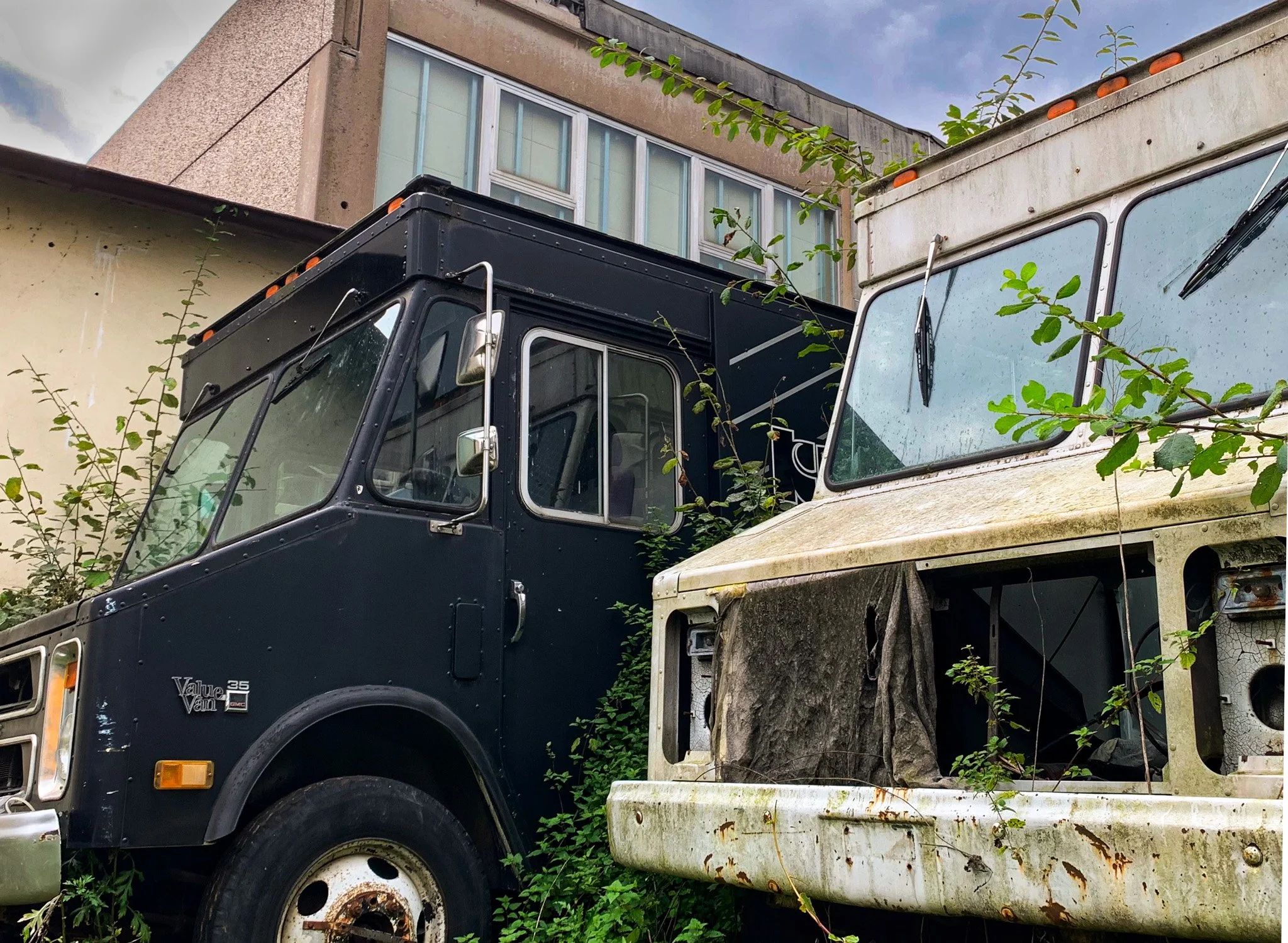 Two abandoned trucks overgrown with vegetation outside a disused building in Weidenau, Siegen, Germany.