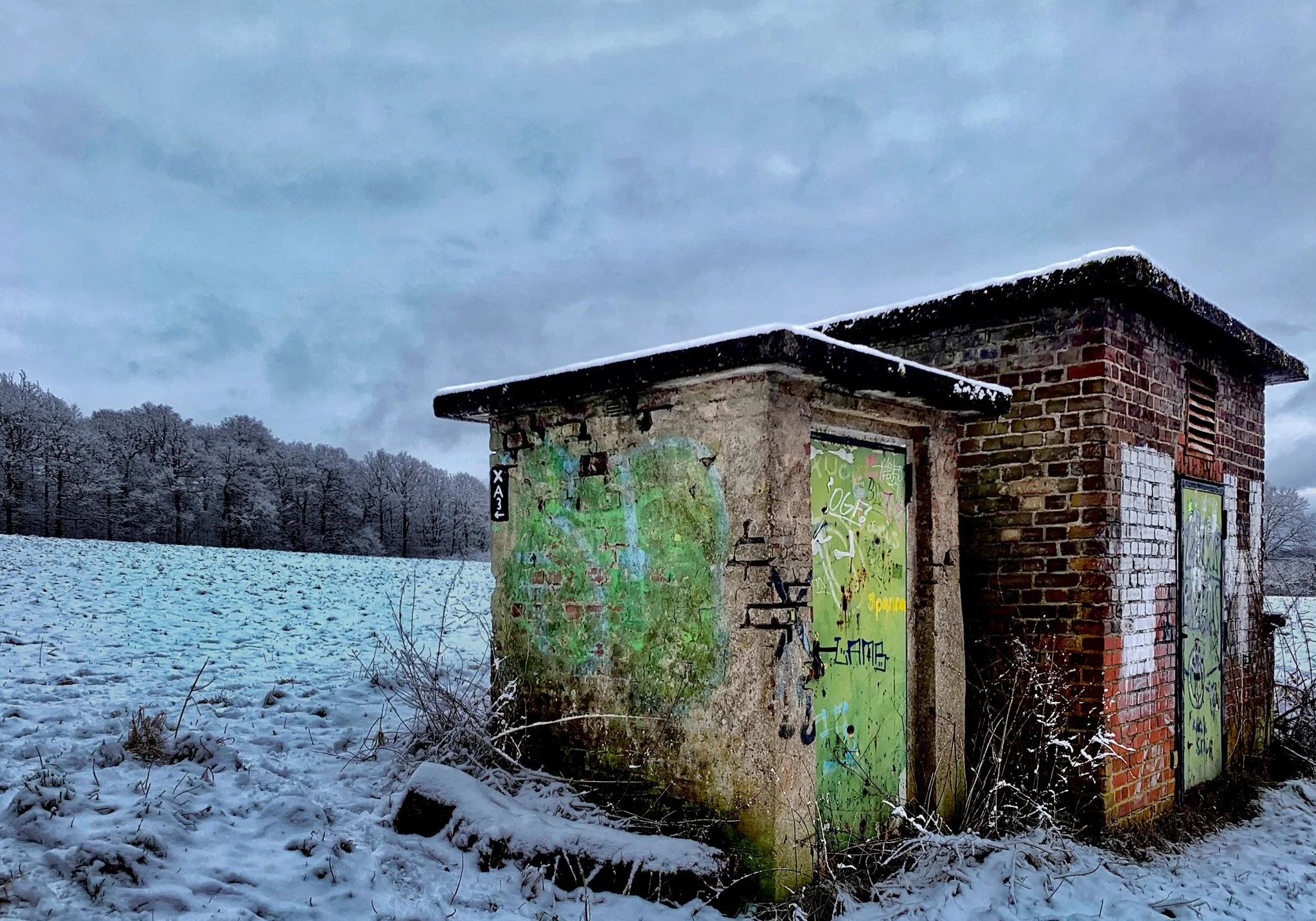 IMG_1846.jpg
