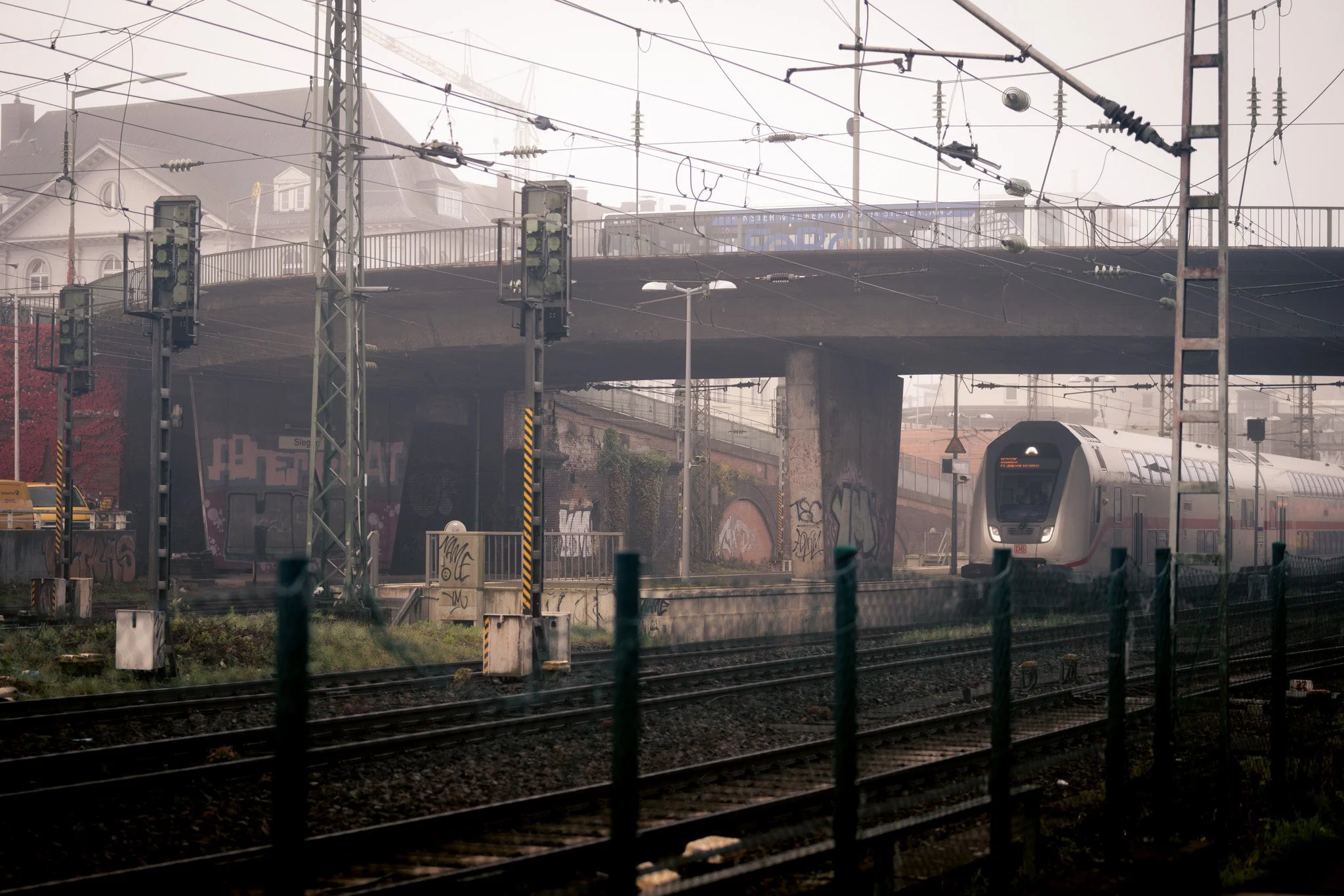 DSC_3272.jpg