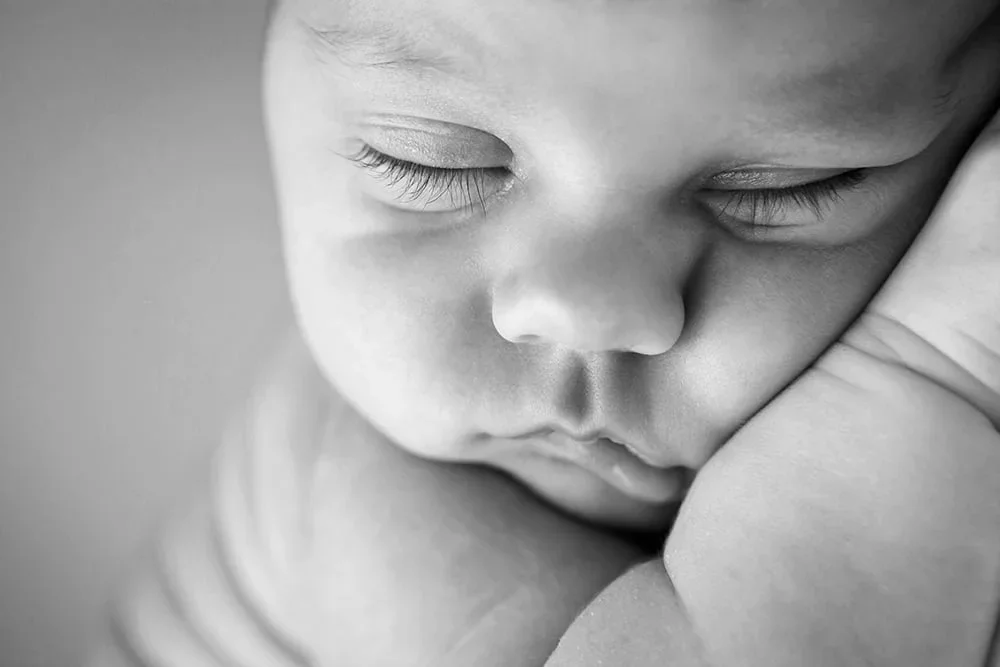 VAN0061BW.webp