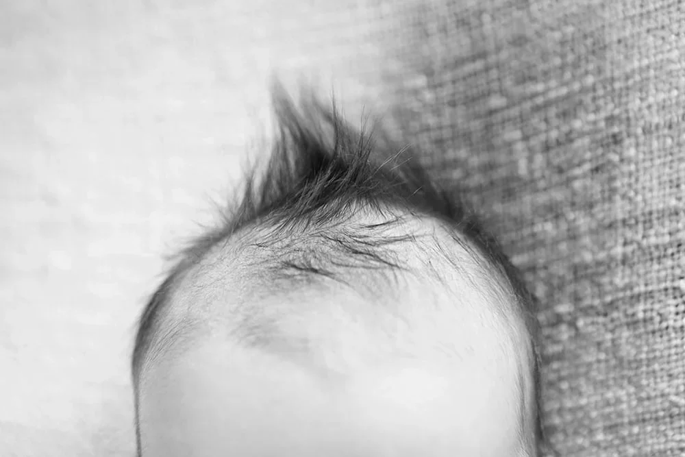 FLA0134BW.webp