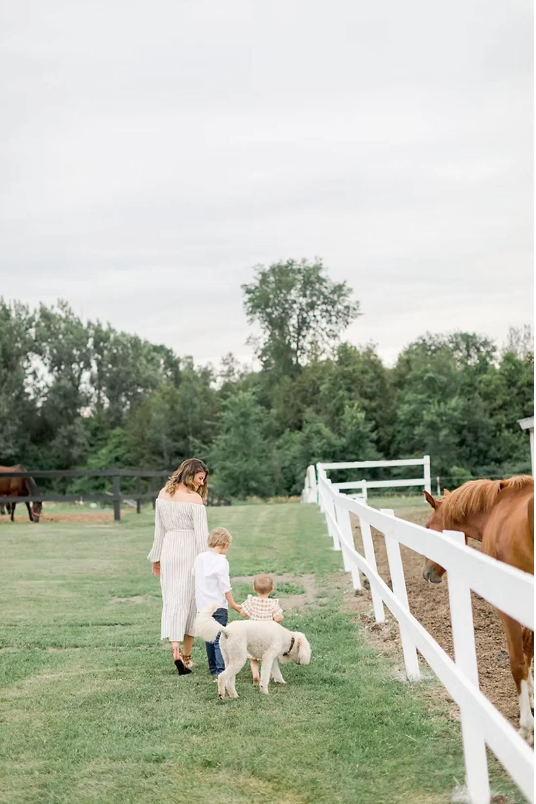 A woman with two children and a dog walking past a white fence on a farm, with horses grazing nearby under an overcast sky.