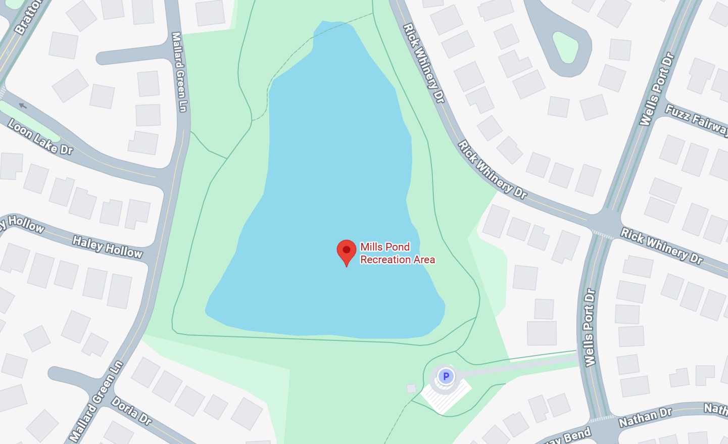 pond_streets (matte).png