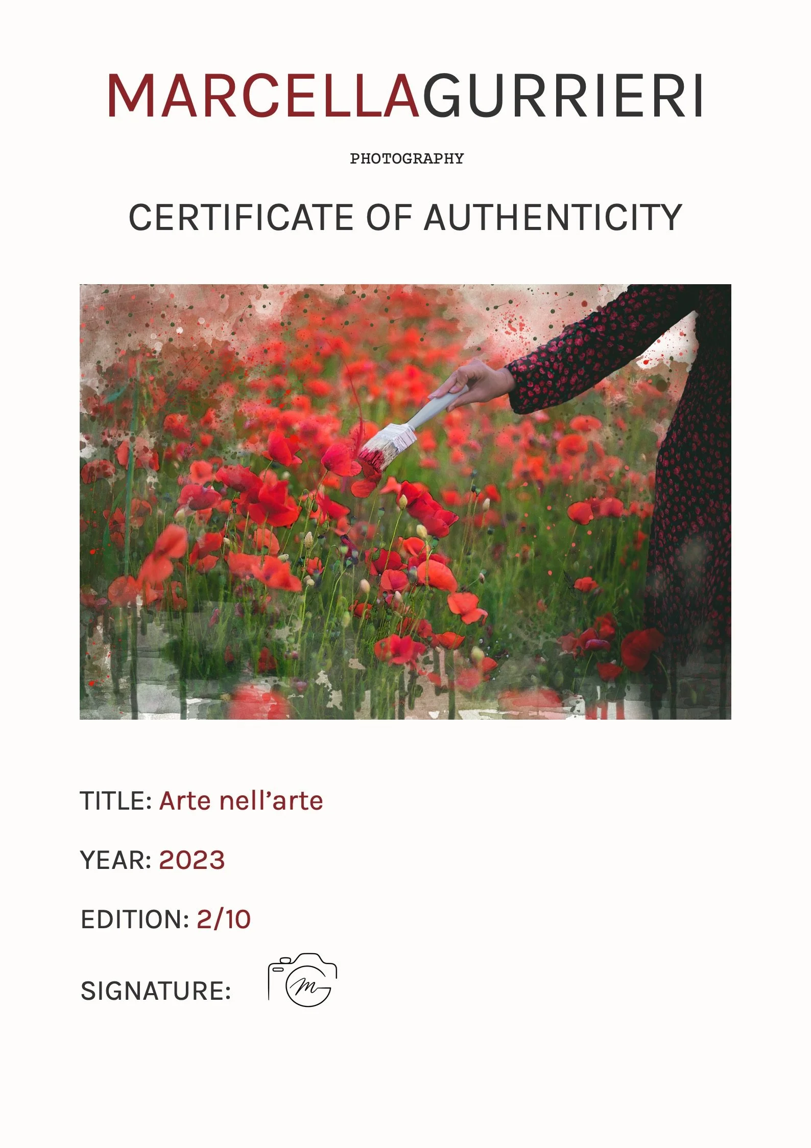 Certificato-primavera6.jpg