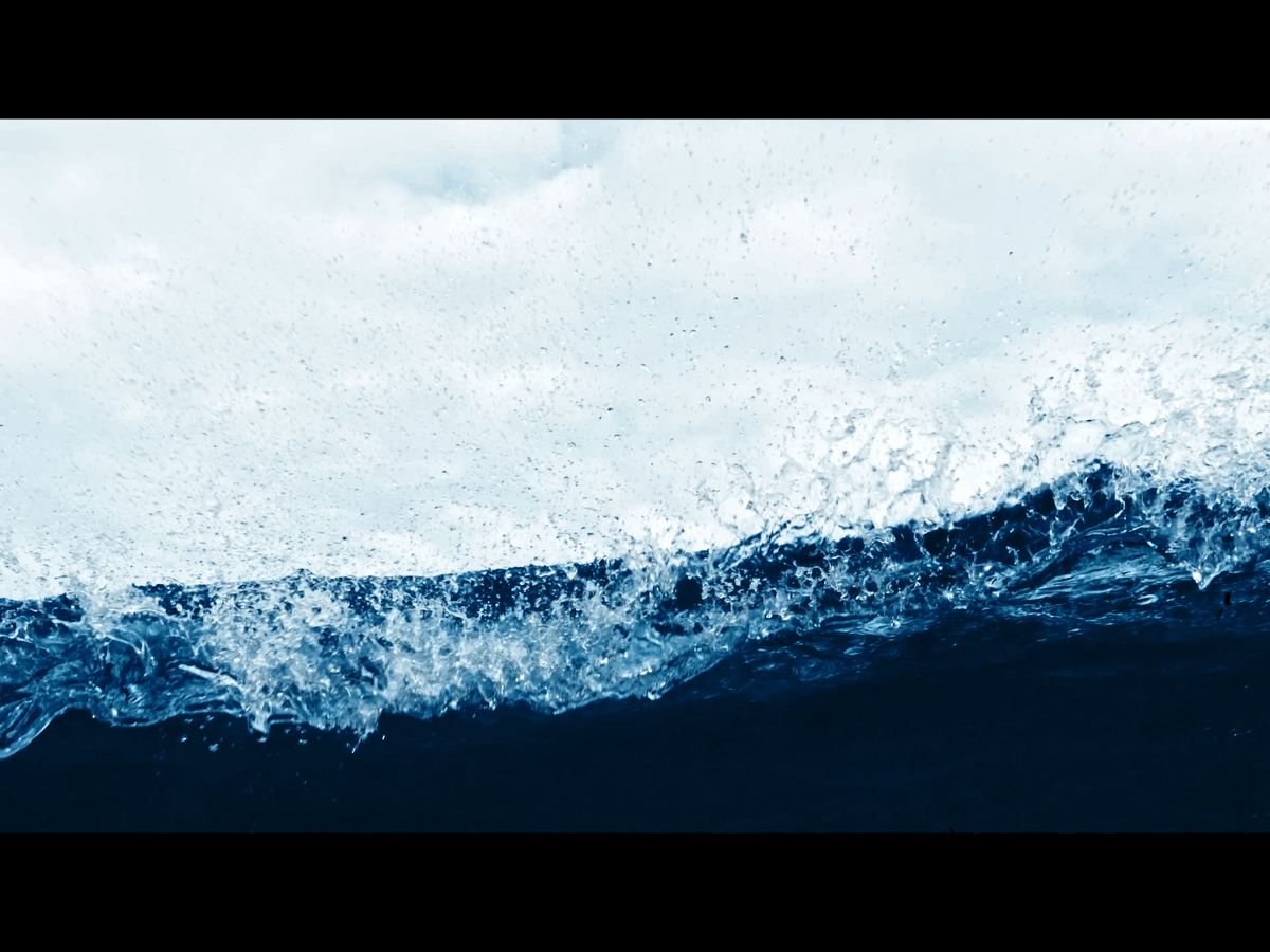 STARBOARD FOILING