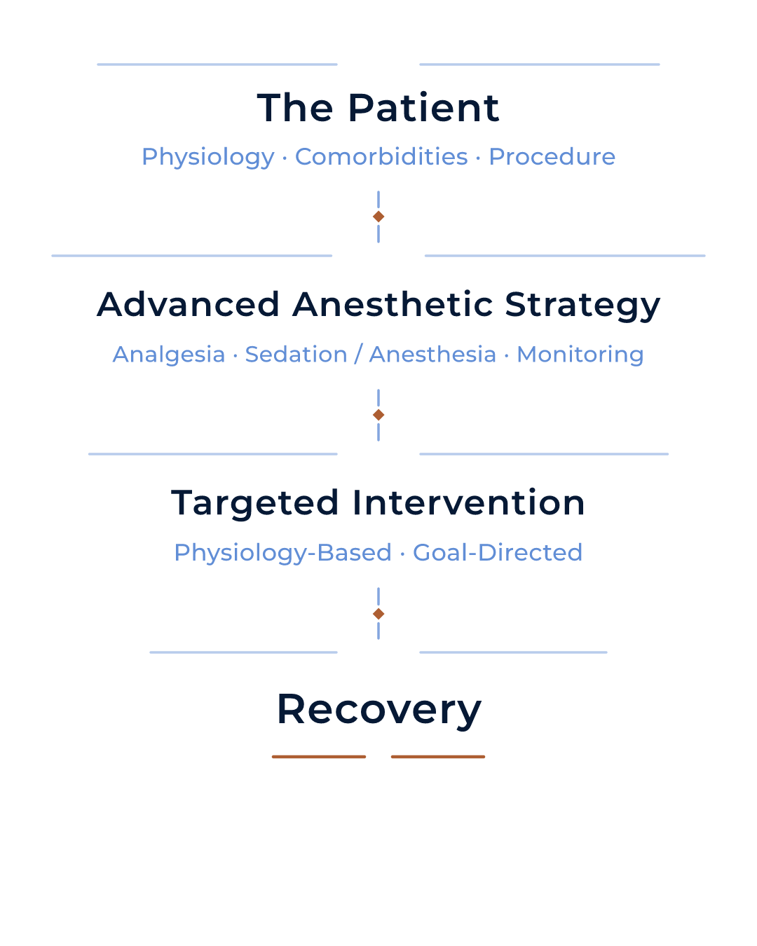 Flowchart illustrating stages of patient care: The Patient, Advanced Anesthetic Strategy, Targeted Intervention, and Recovery, with associated concepts like physiology, comorbidities, procedure, analgesia, sedation, monitoring, goal-directed, and physiology-based approaches.