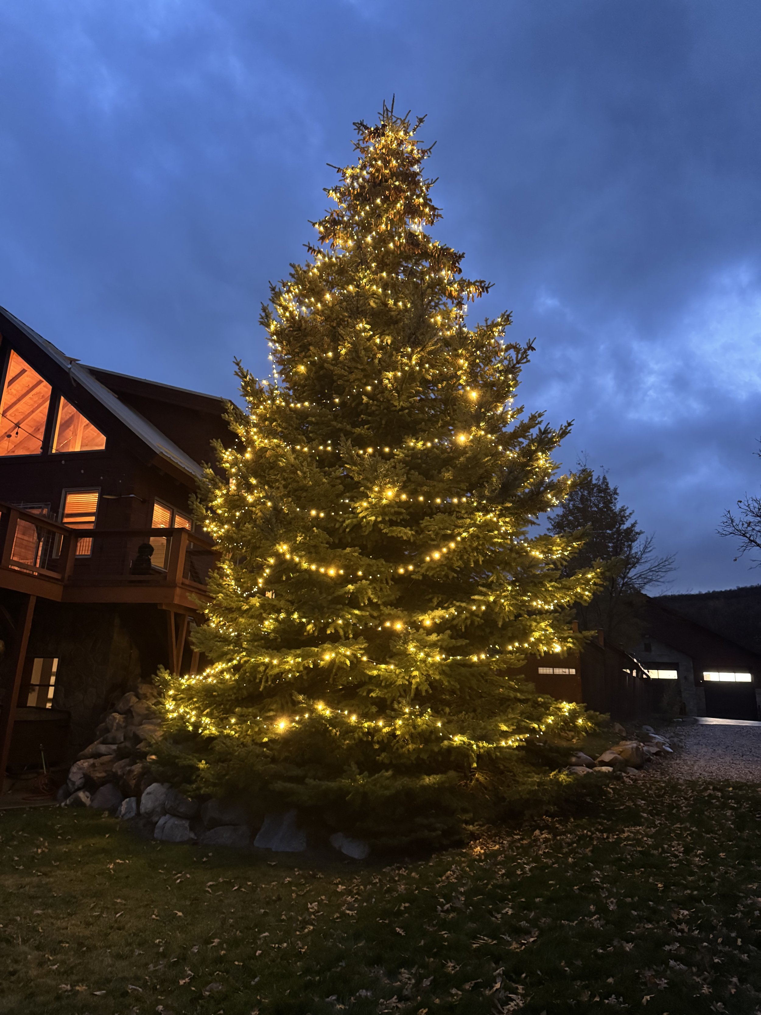 IMG_4840.jpeg