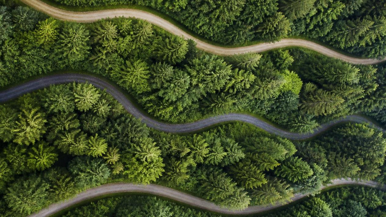 Aerial view of a winding dirt road through a dense green forest.