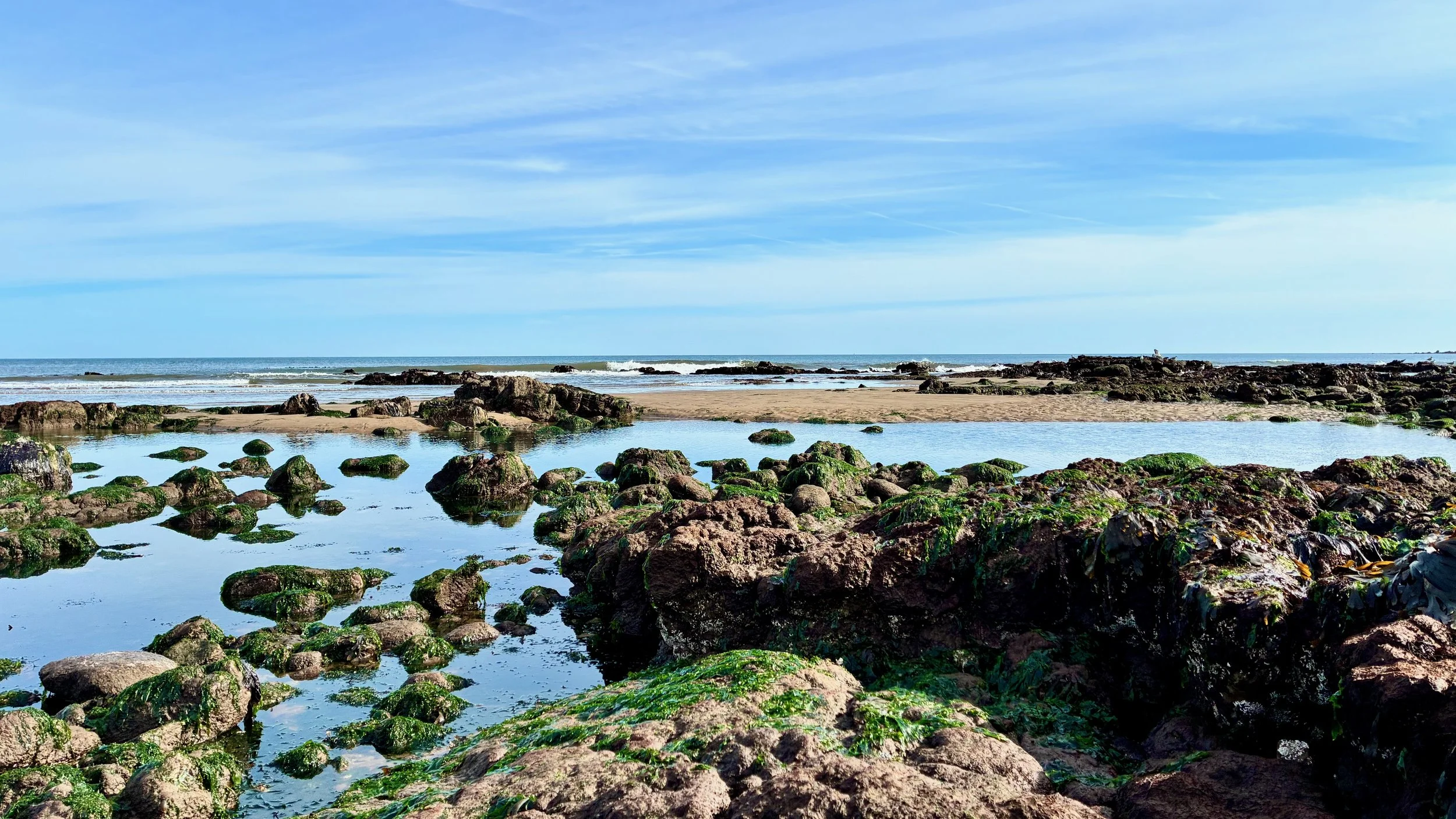 A rocky beach with green algae-covered rocks in shallow water, sandy shoreline, ocean waves, and a clear blue sky with wispy clouds.