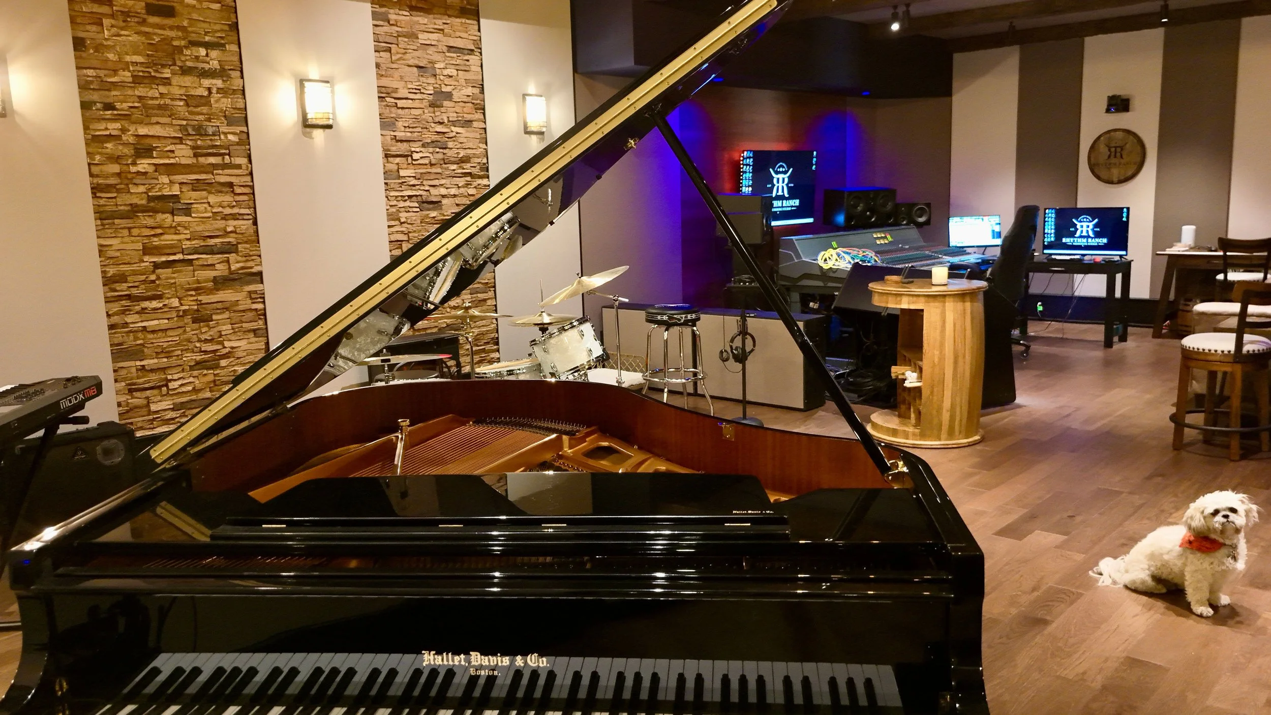 Music studio with a grand piano in the foreground, drums, computer monitors with music software, and acoustic panels on the walls. There are chairs and a small dog lying on the floor near the piano.
