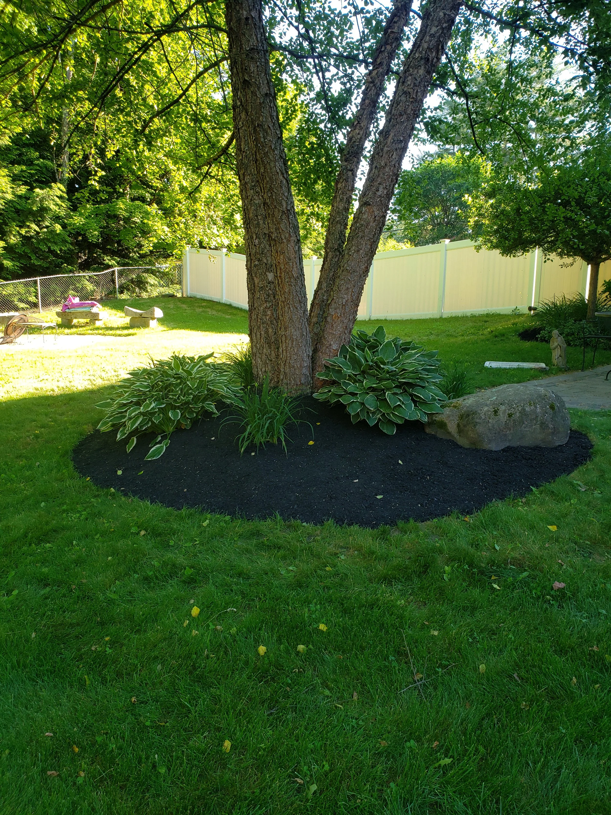 Area that I re did the edge and mulched in a backyard.